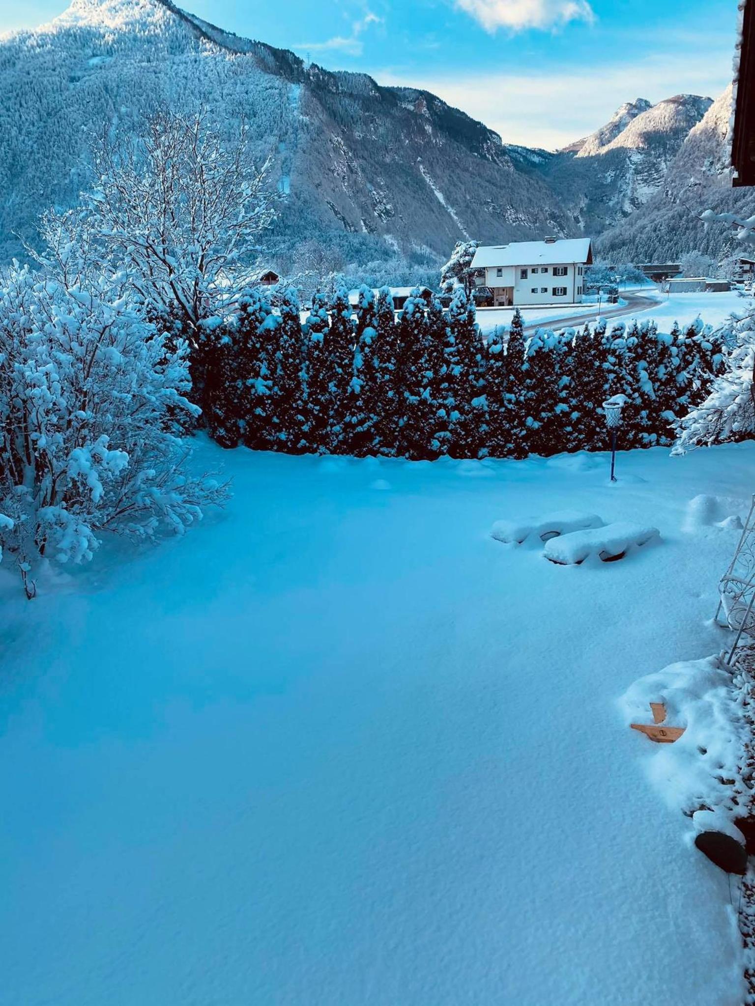 Forest Chalet, all famous ski areas around us, 15 min to city of salzburg, mountainview, panorama sauna, bath whirlpool, fire pit in garden up to 10 p