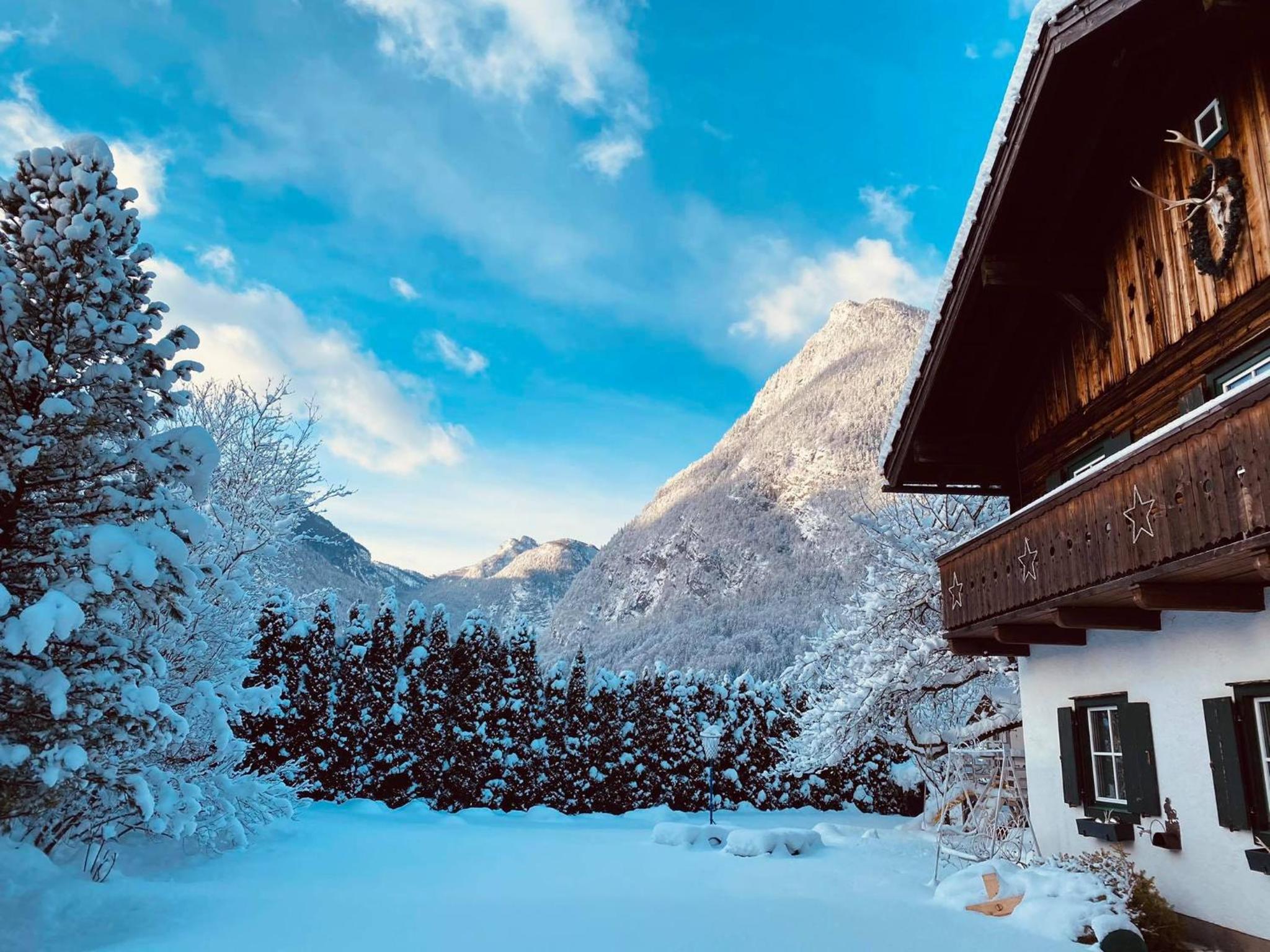 Forest Chalet, all famous ski areas around us, 15 min to city of salzburg, mountainview, panorama sauna, bath whirlpool, fire pit in garden up to 10 p