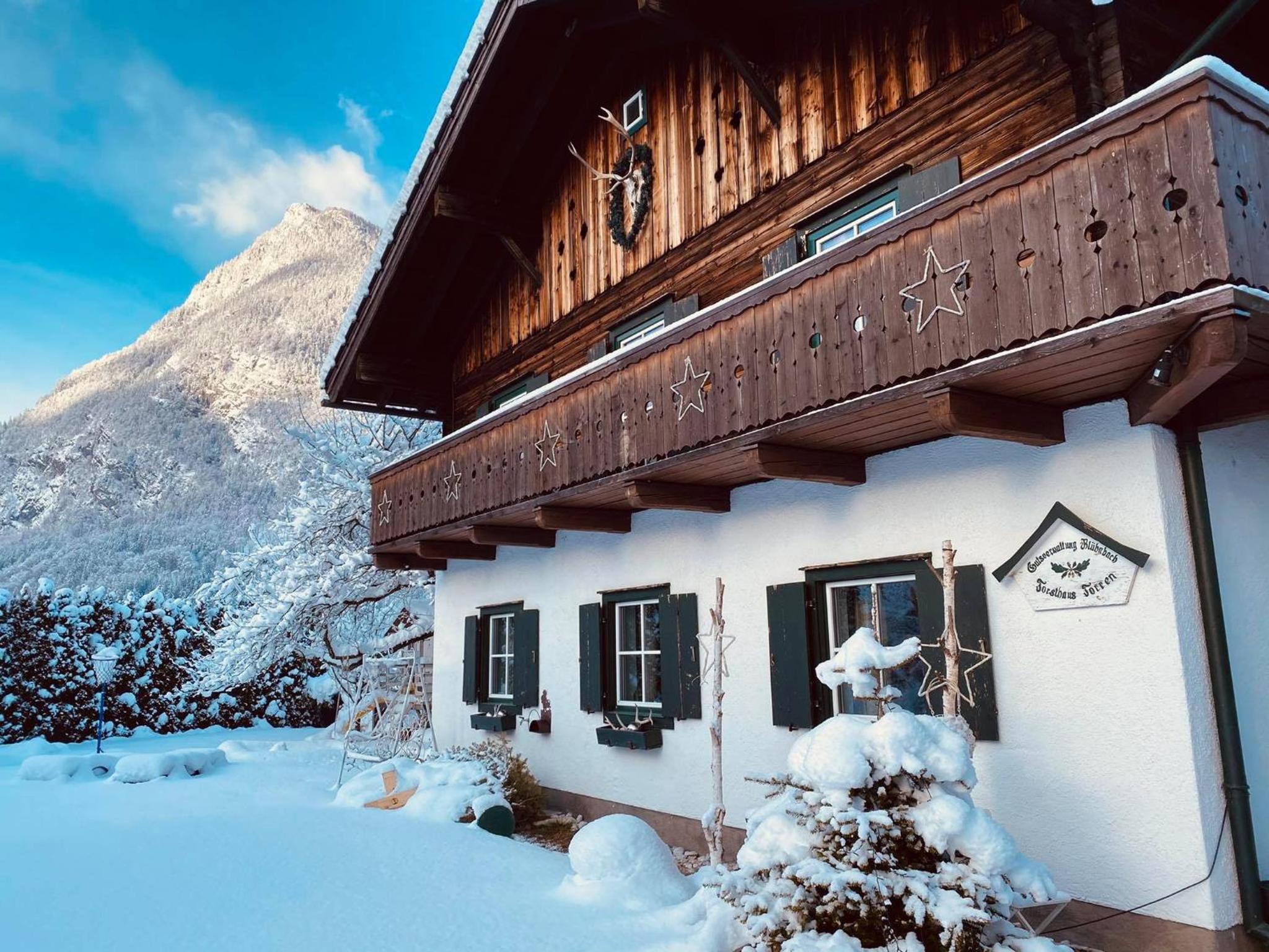 Forest Chalet, all famous ski areas around us, 15 min to city of salzburg, mountainview, panorama sauna, bath whirlpool, fire pit in garden up to 10 p