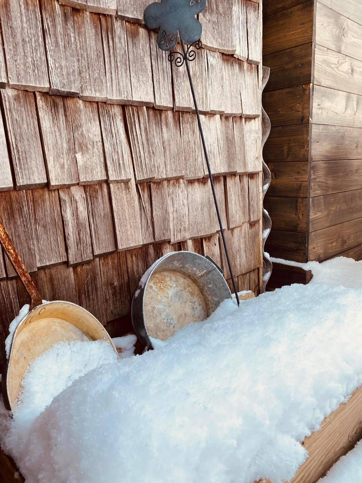 Forest Chalet, all famous ski areas around us, 15 min to city of salzburg, mountainview, panorama sauna, bath whirlpool, fire pit in garden up to 10 p