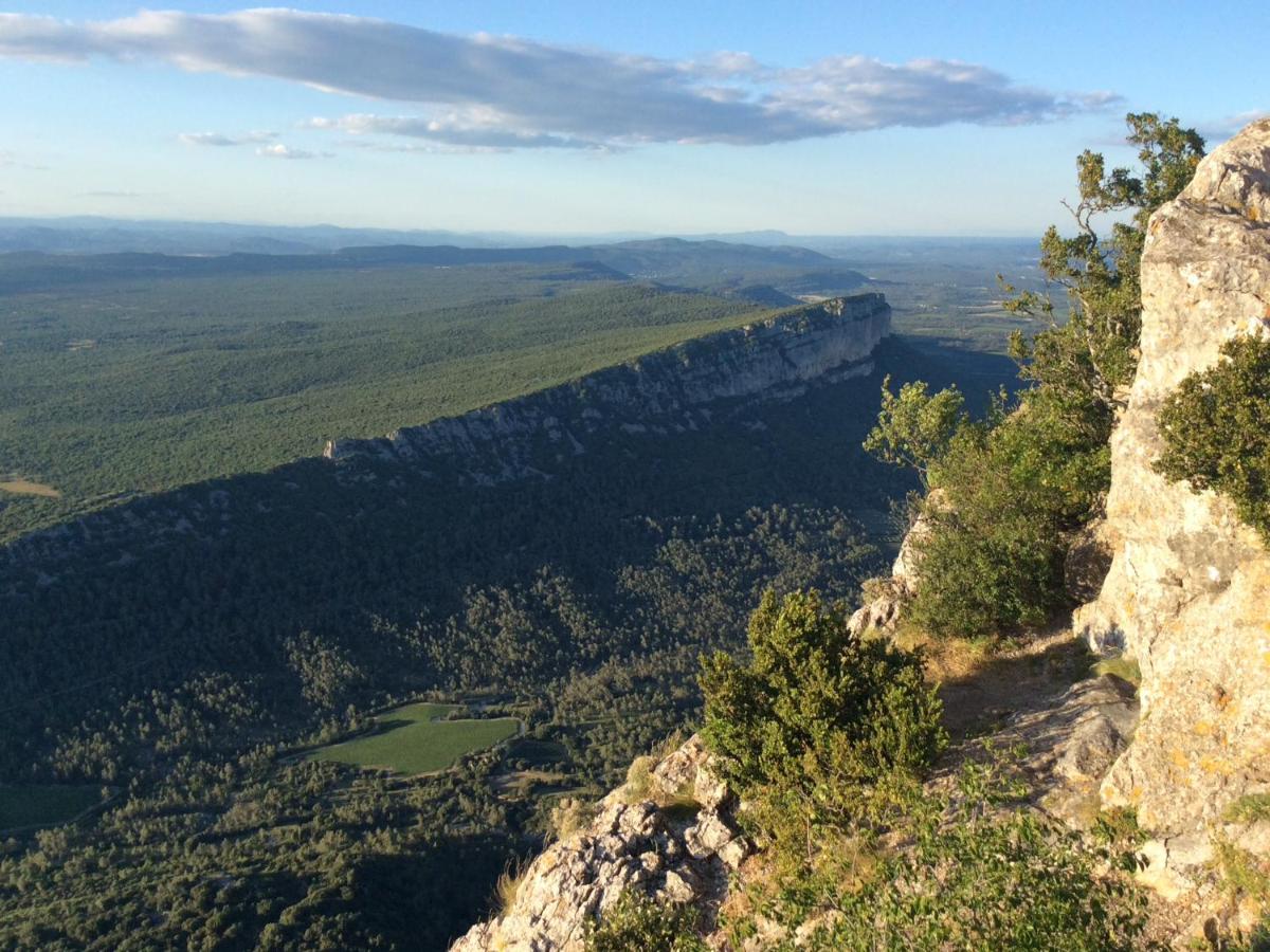 Le Castellas du Pic St Loup