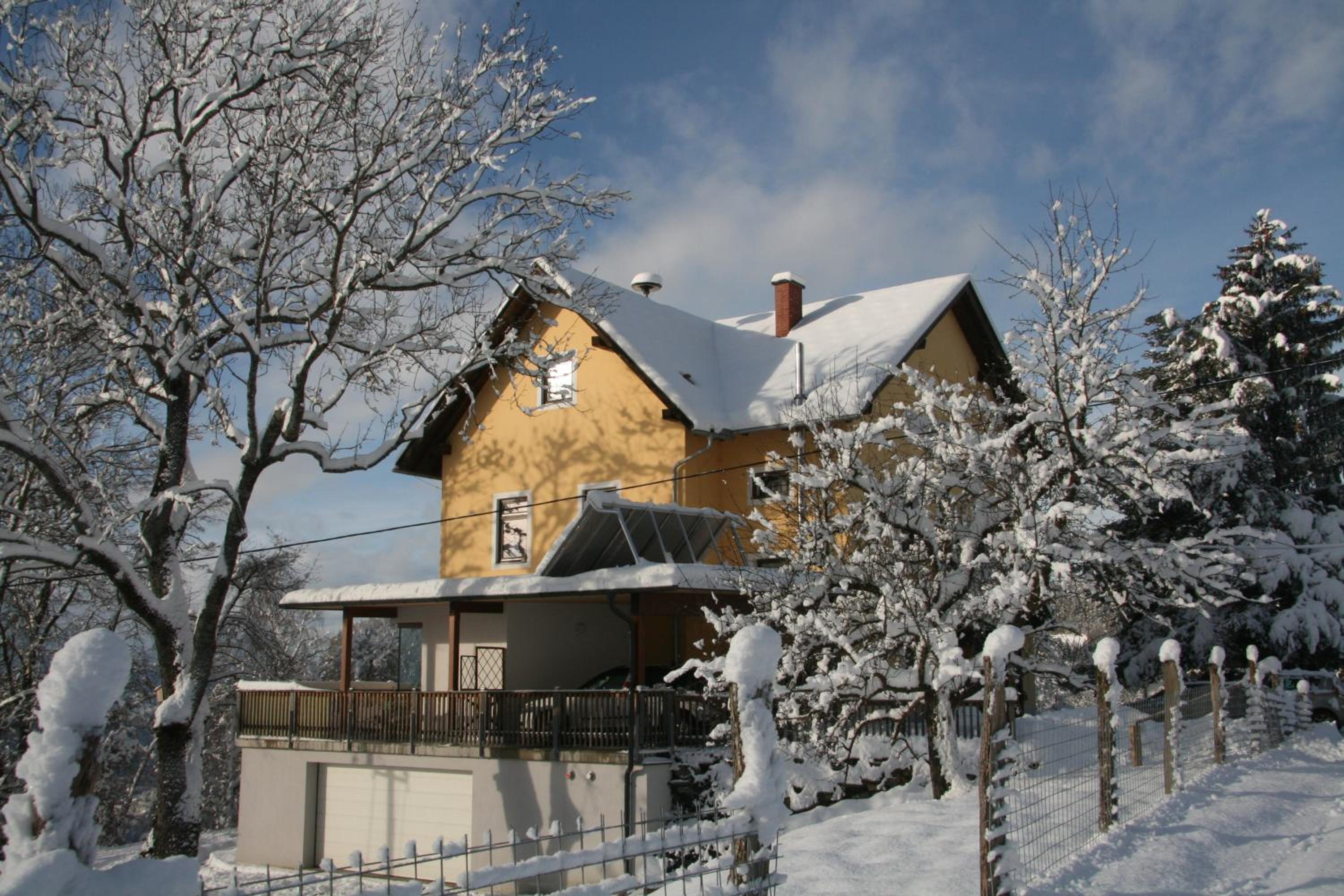 Alte Volksschule - schual in gradne view 3