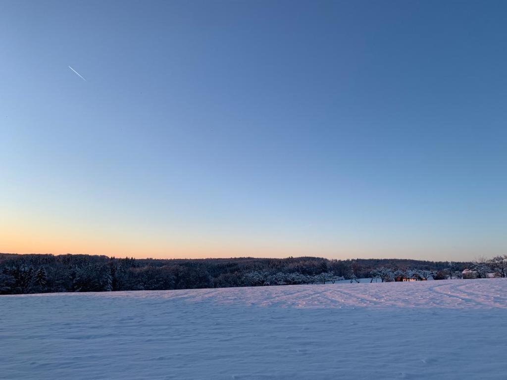 Modernes Ferienhaus im Schwarzwald