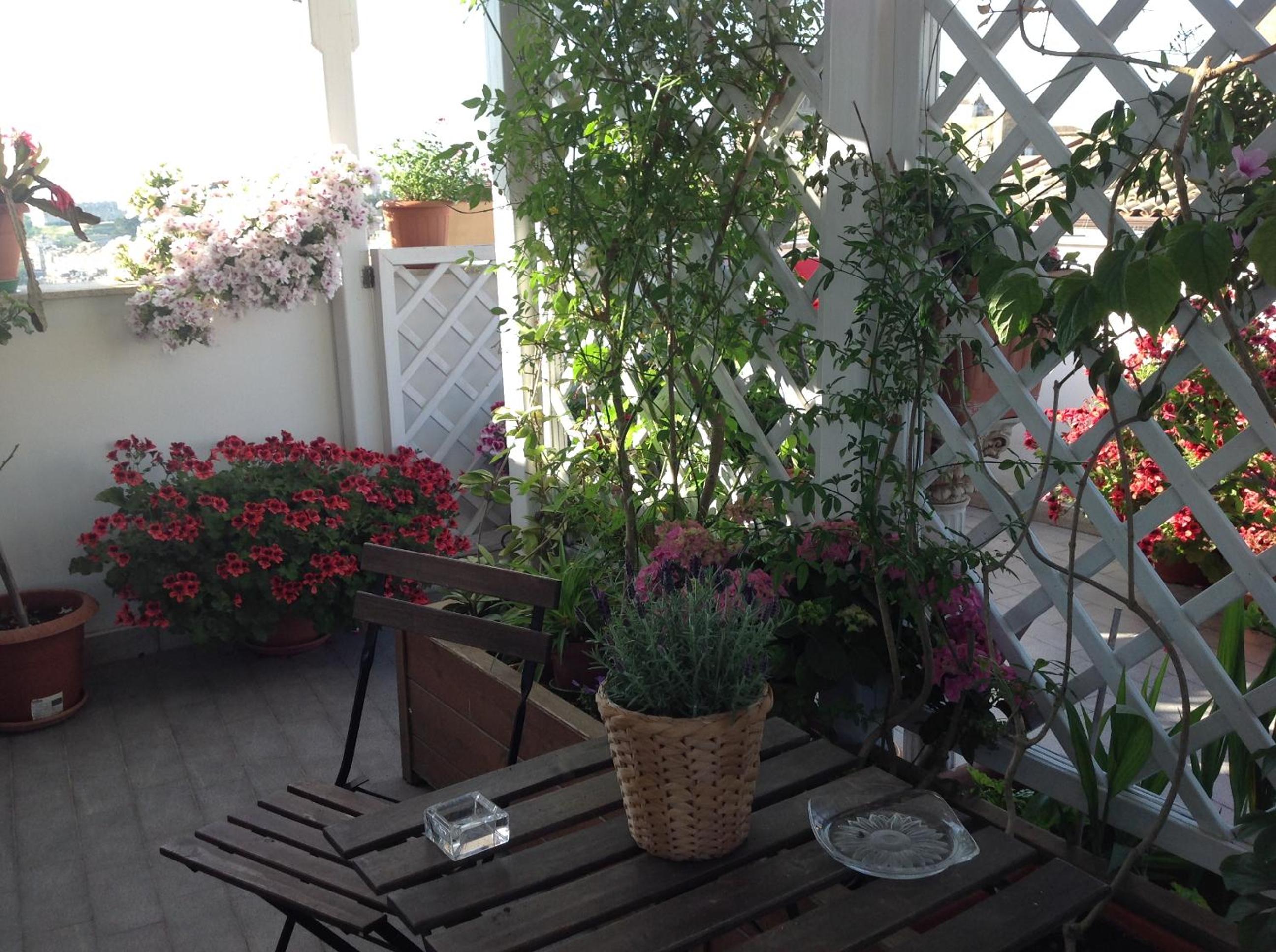 Photo 33