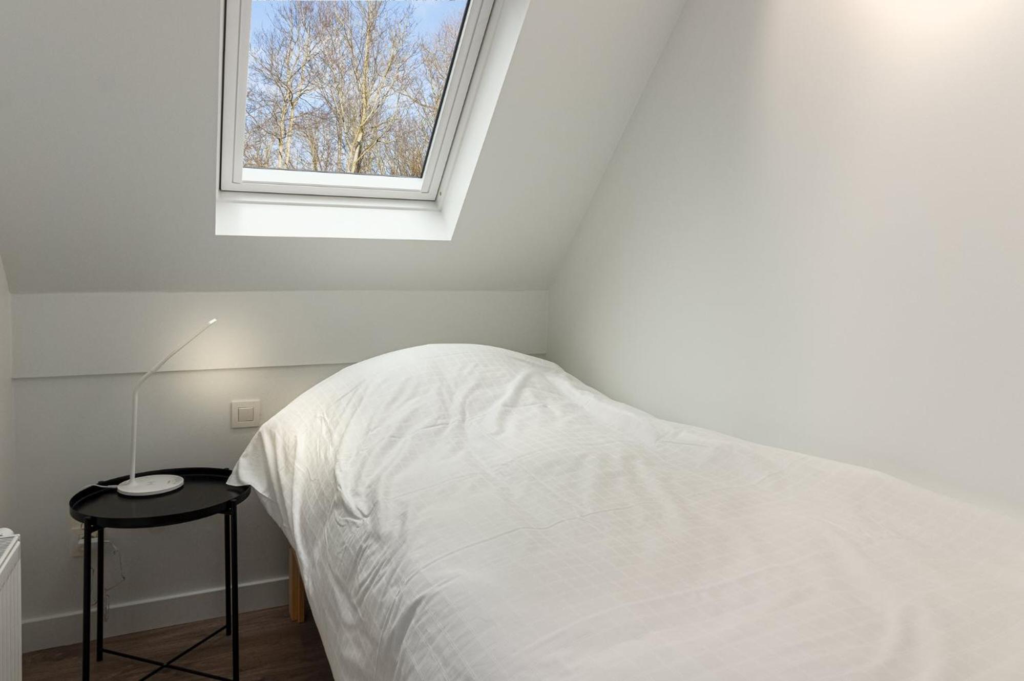 Houtsaegertje