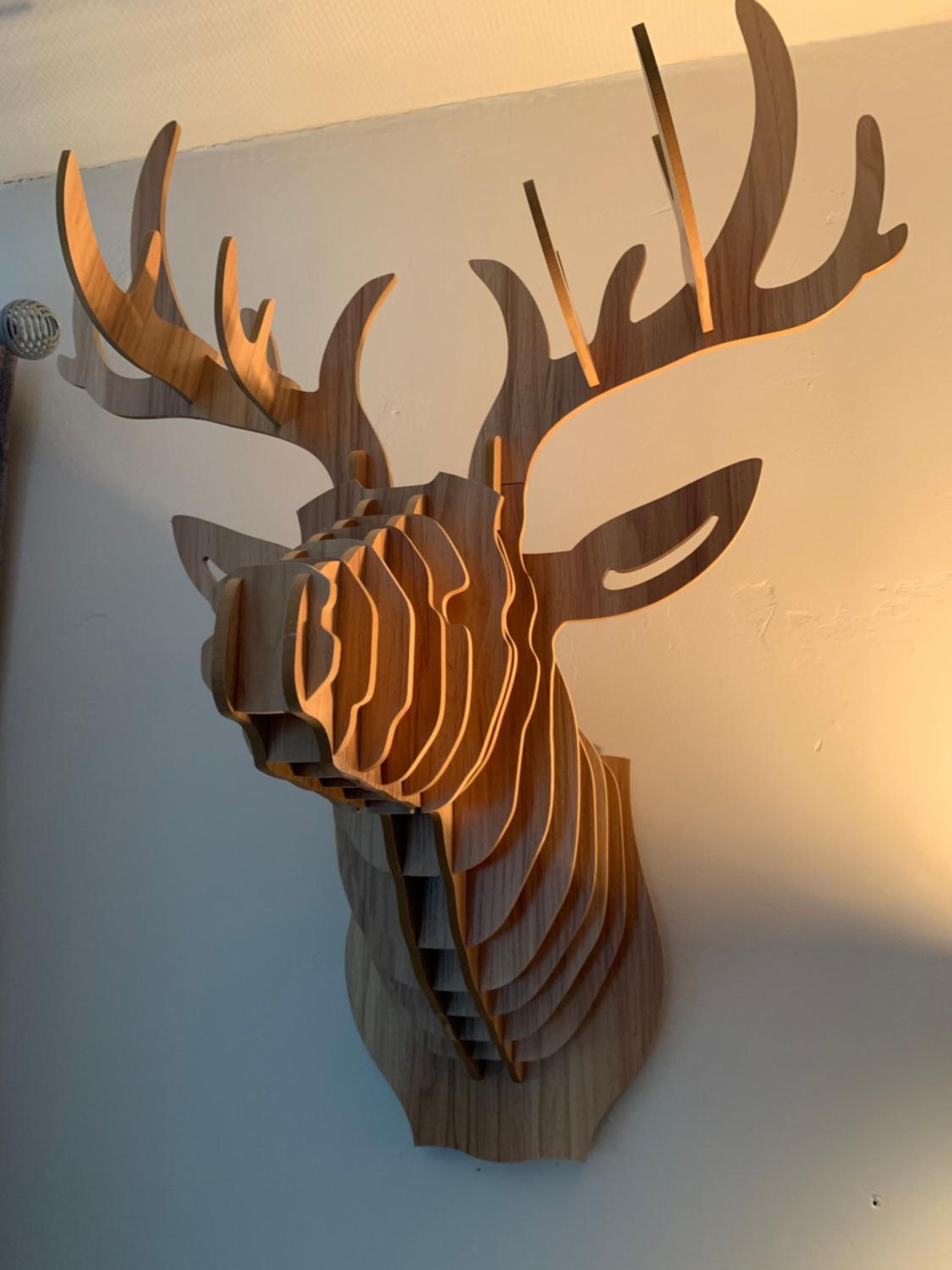 Étoile de Laforêt