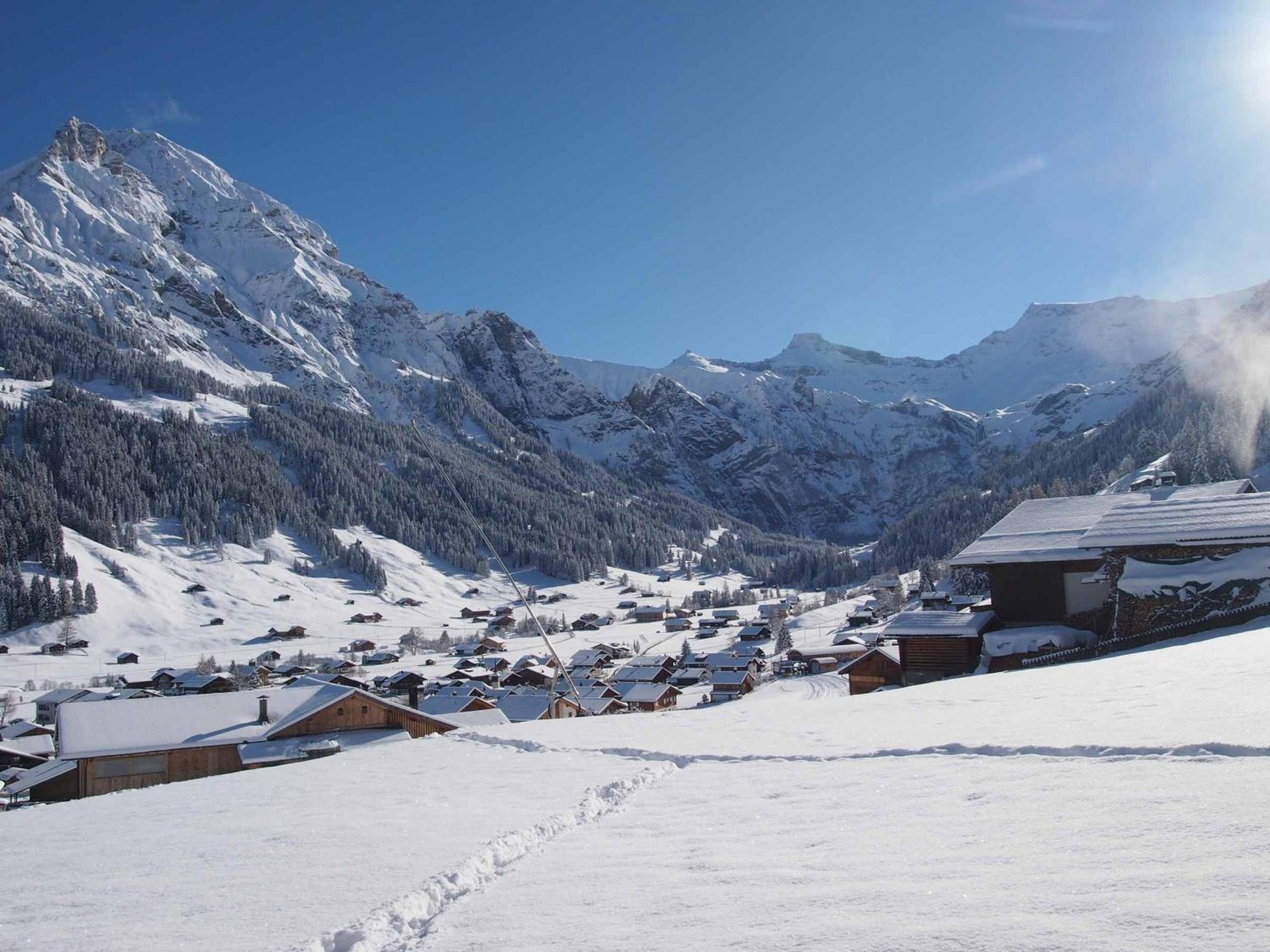 Ferienwohnung Chalet Zwirbeli