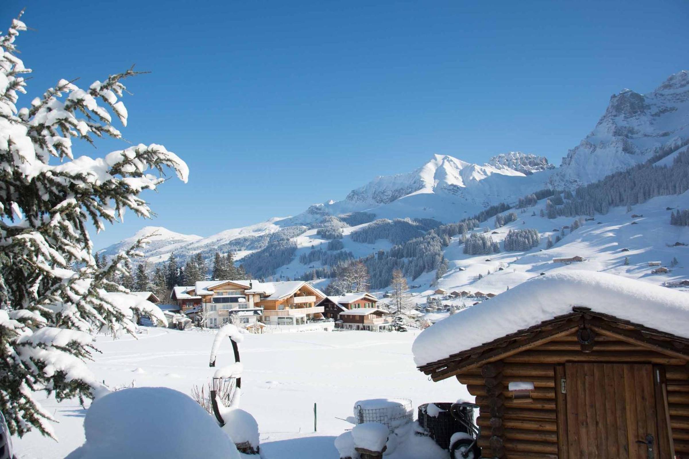 Ferienwohnung Chalet Zwirbeli