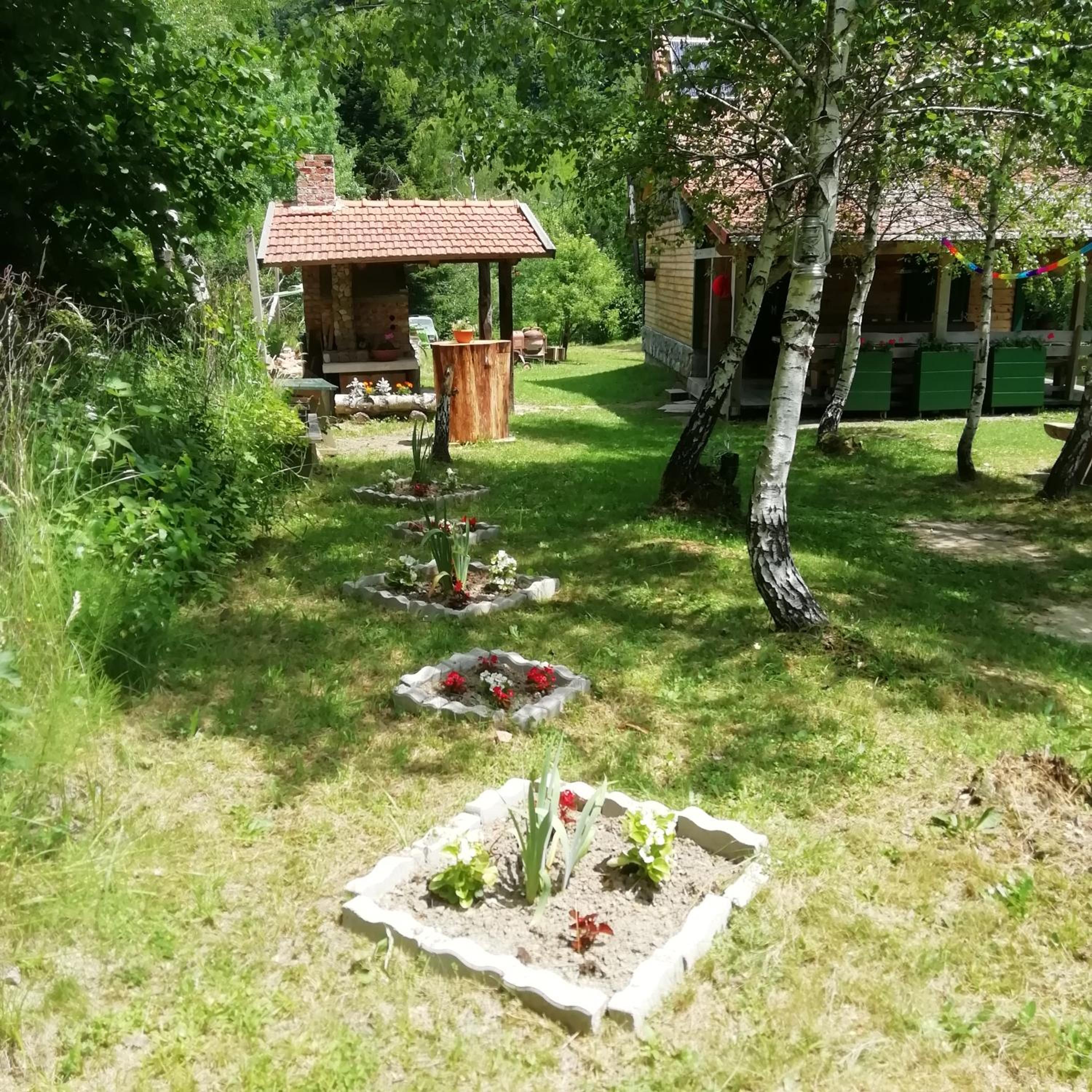 Photo 9