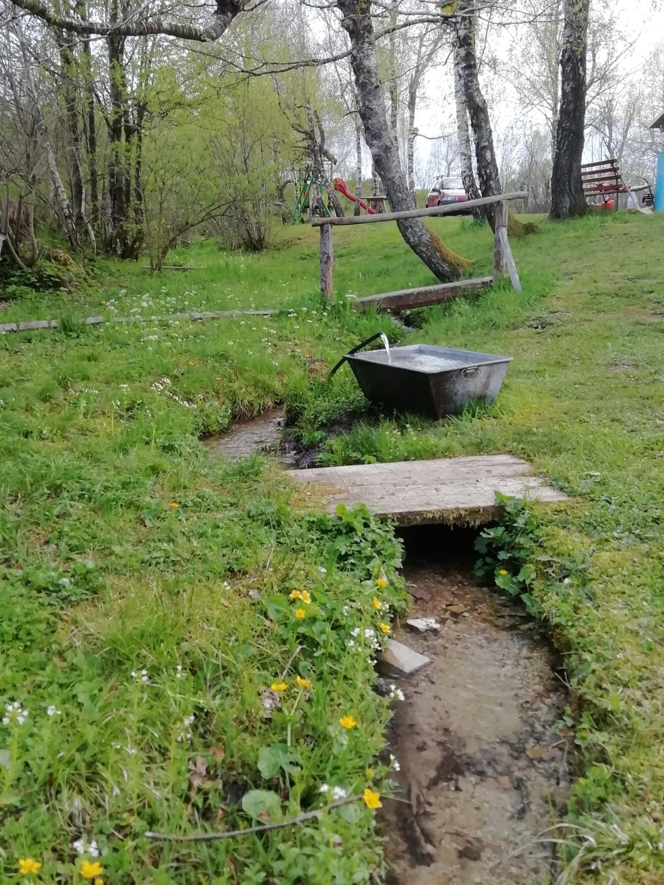 Photo 10