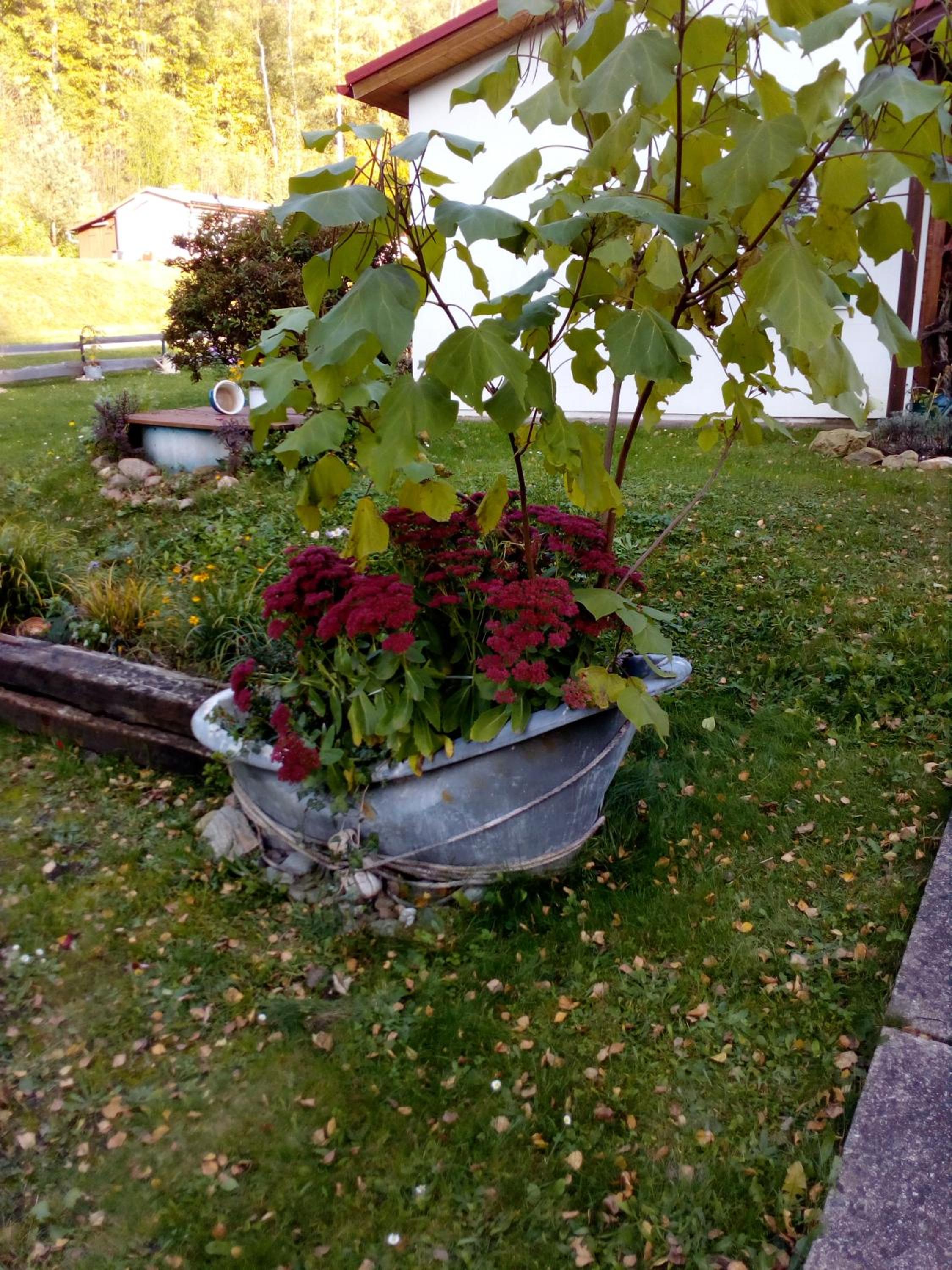 Photo 22