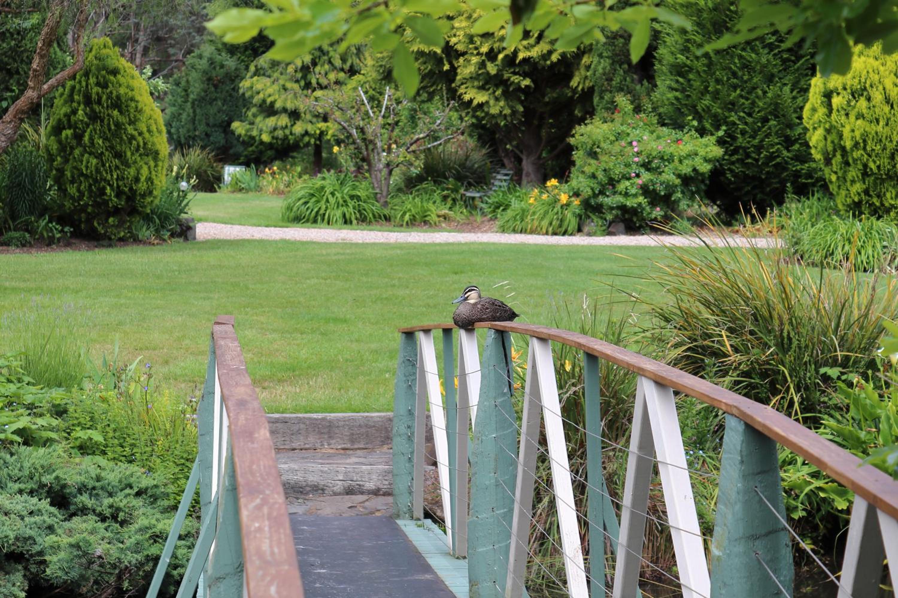 Altona Garden Retreat