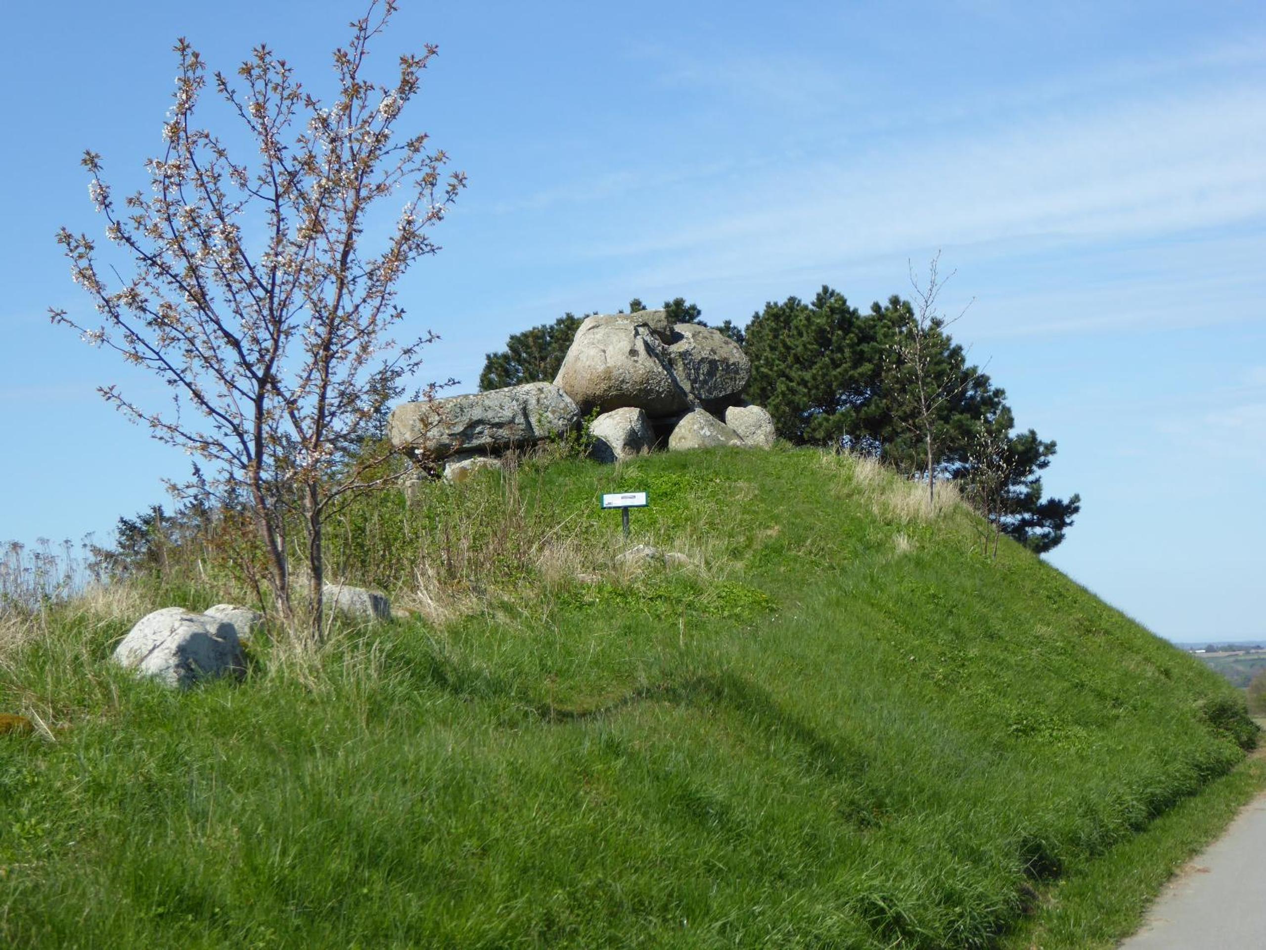 Photo 26