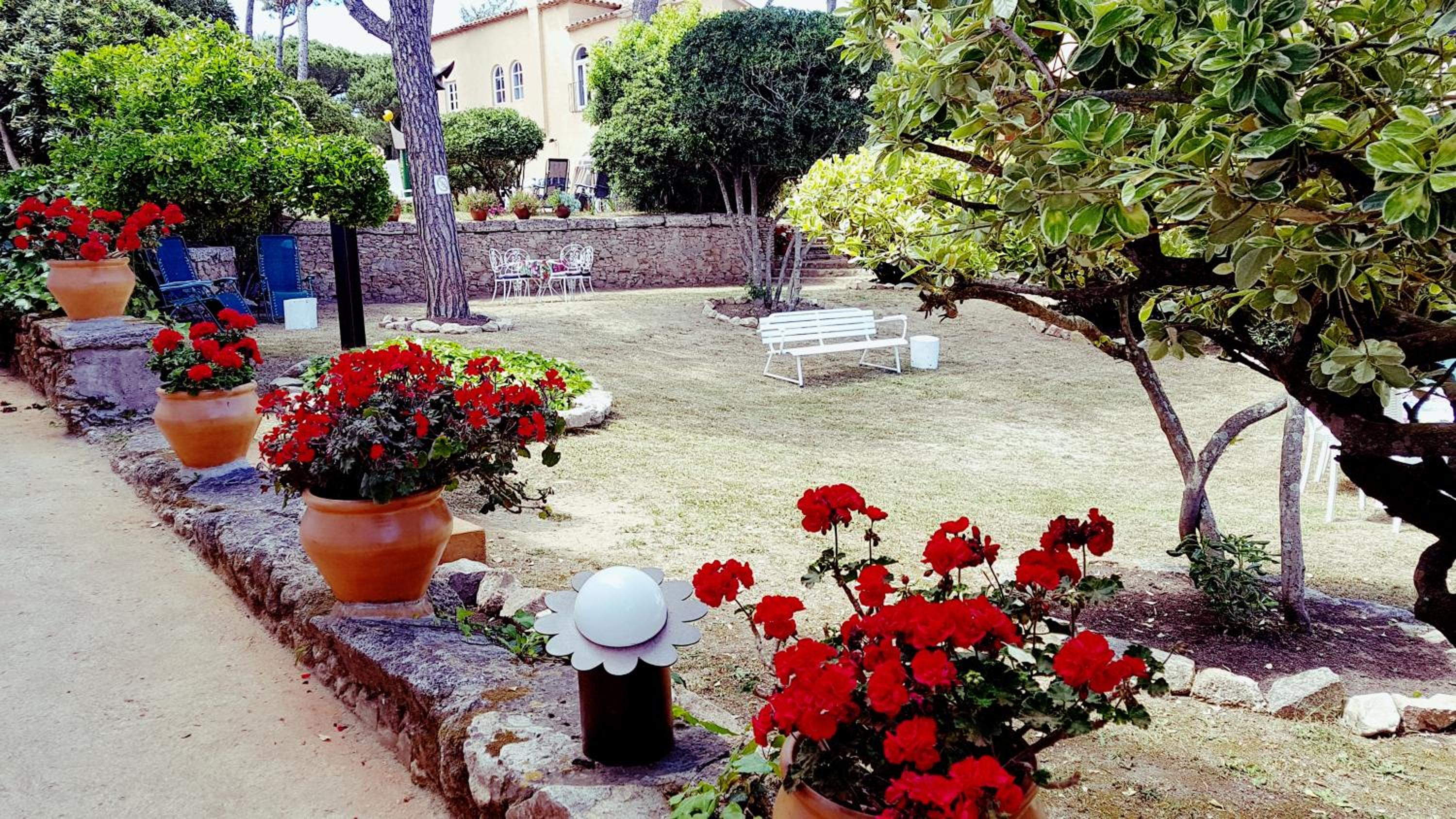 Photo 14