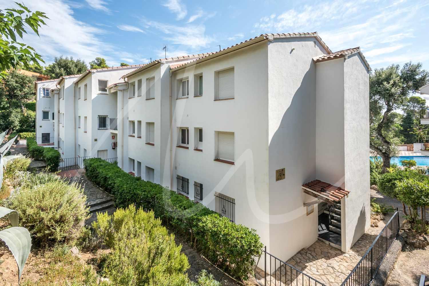 Estrella by SeaMount Rentals