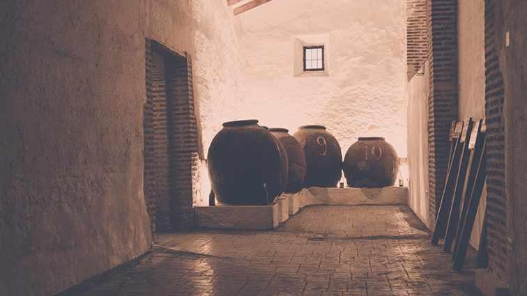 Lagar de Viña Vieja