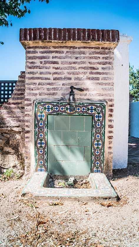 Lagar de Viña Vieja