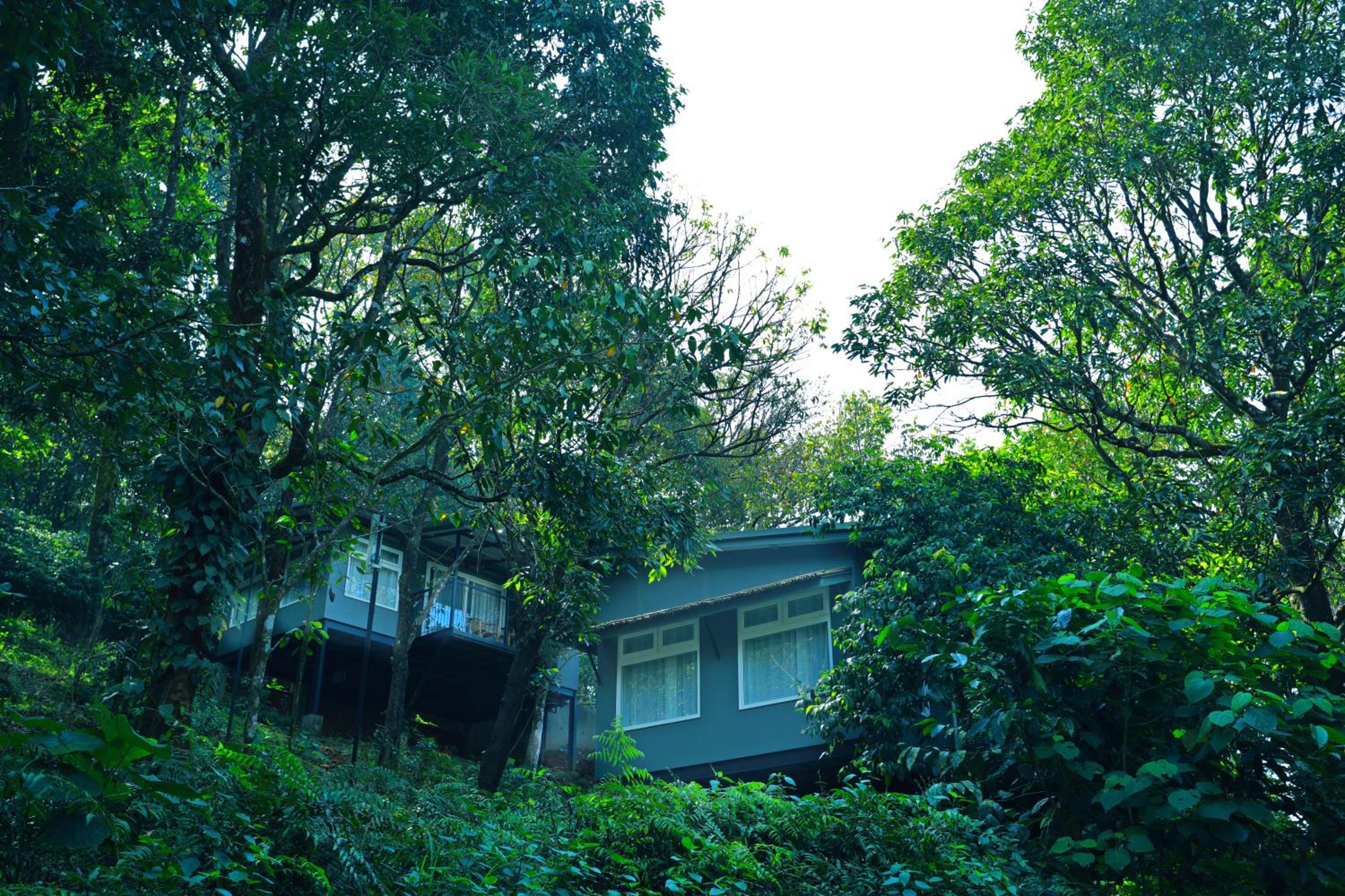 Wayanad Wild - A CGH Earth Experience