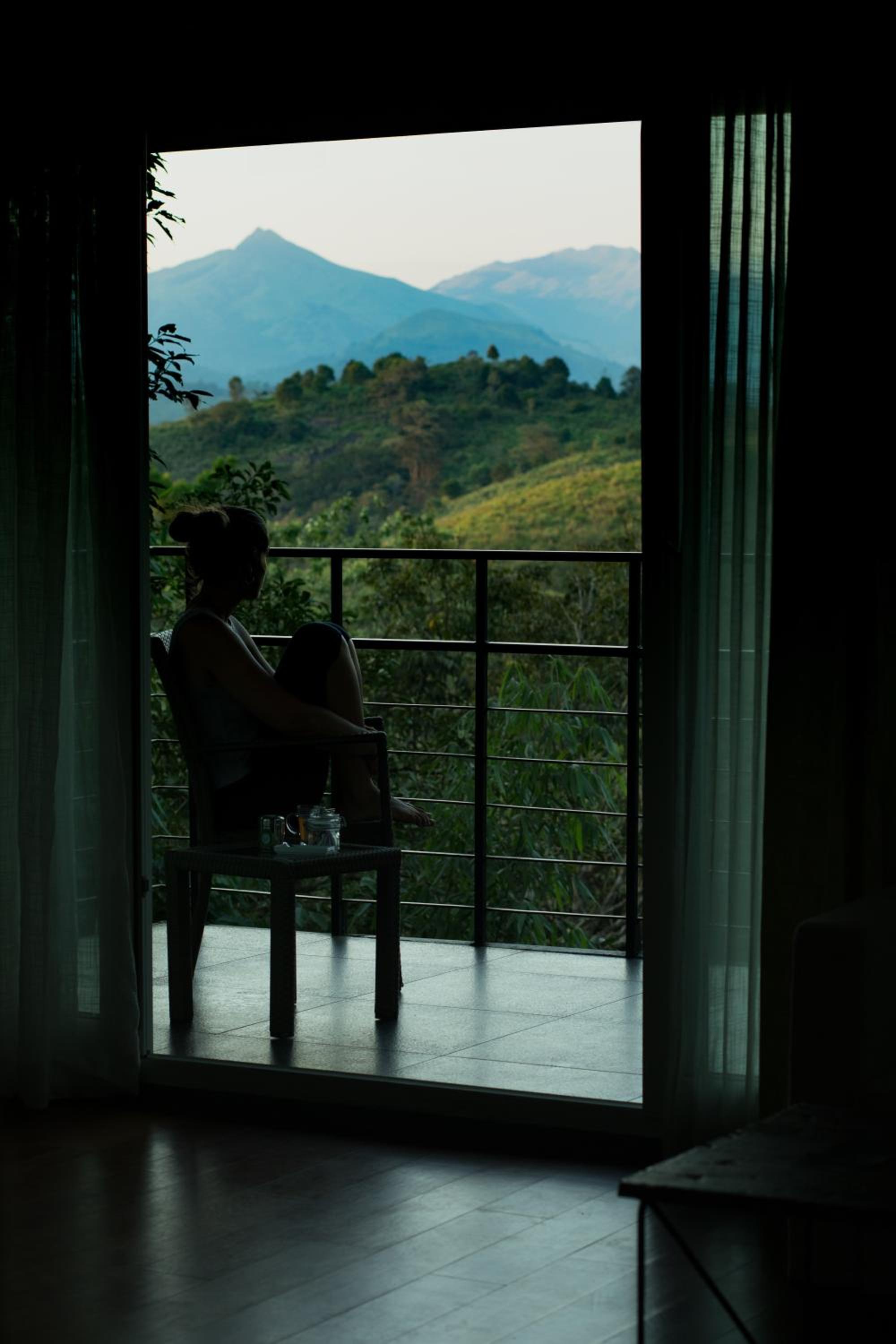 Wayanad Wild - A CGH Earth Experience