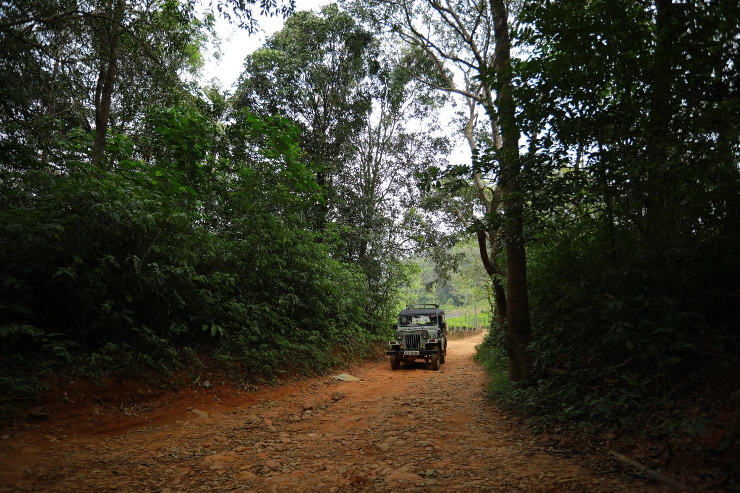 Wayanad Wild - A CGH Earth Experience