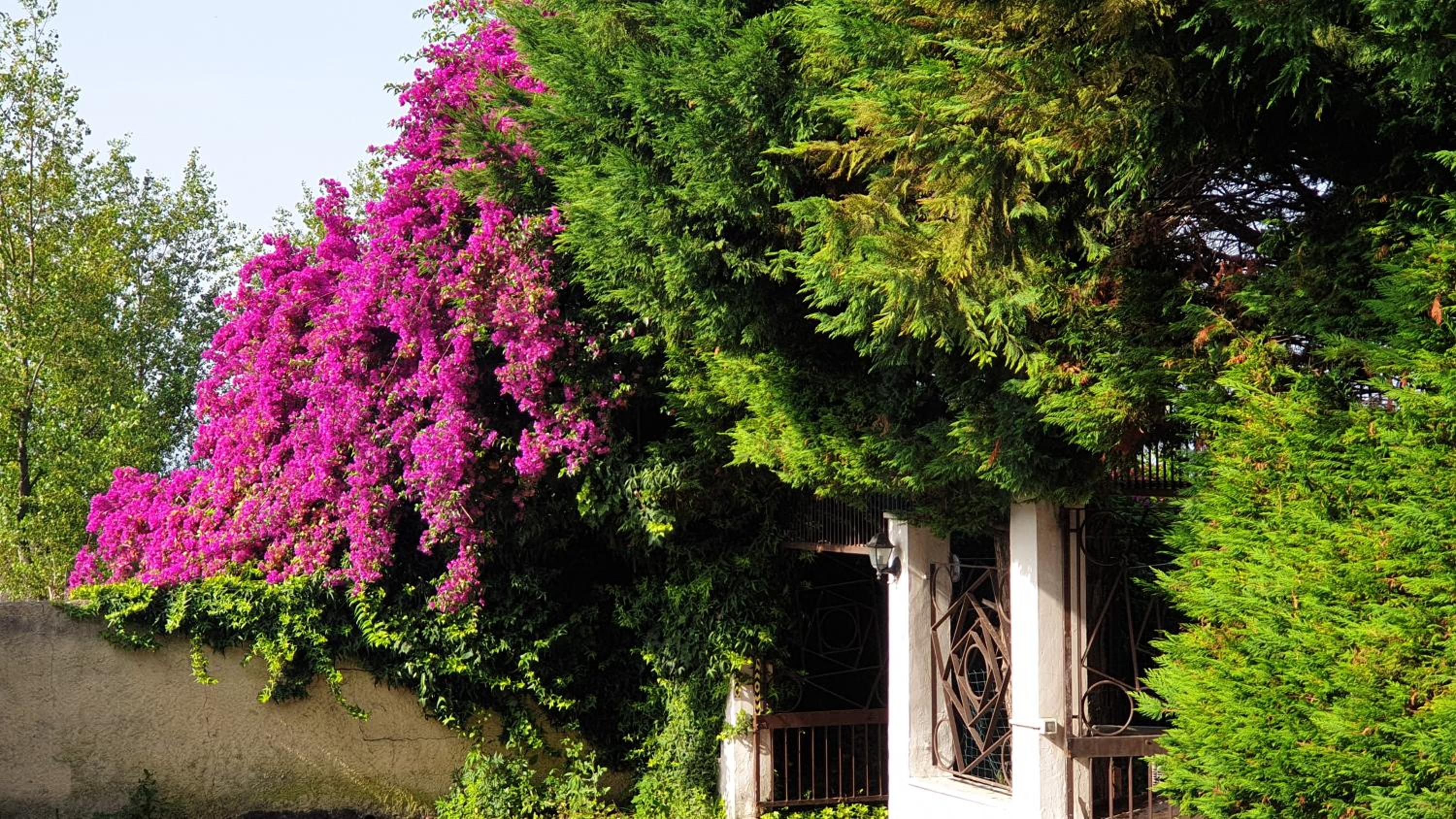 Garden House Pompei Vesuvio