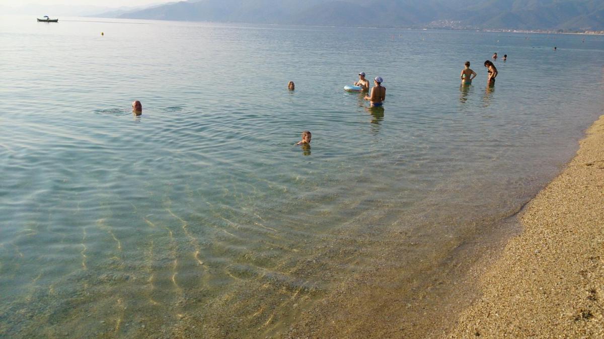 Photo 48