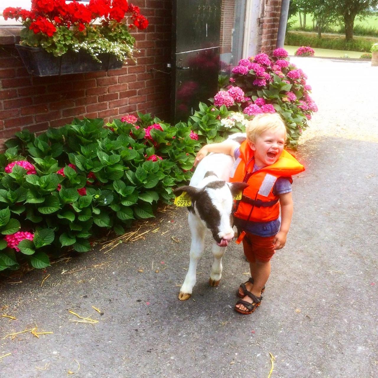 Ruyge Weyde Logies, Eco Farm