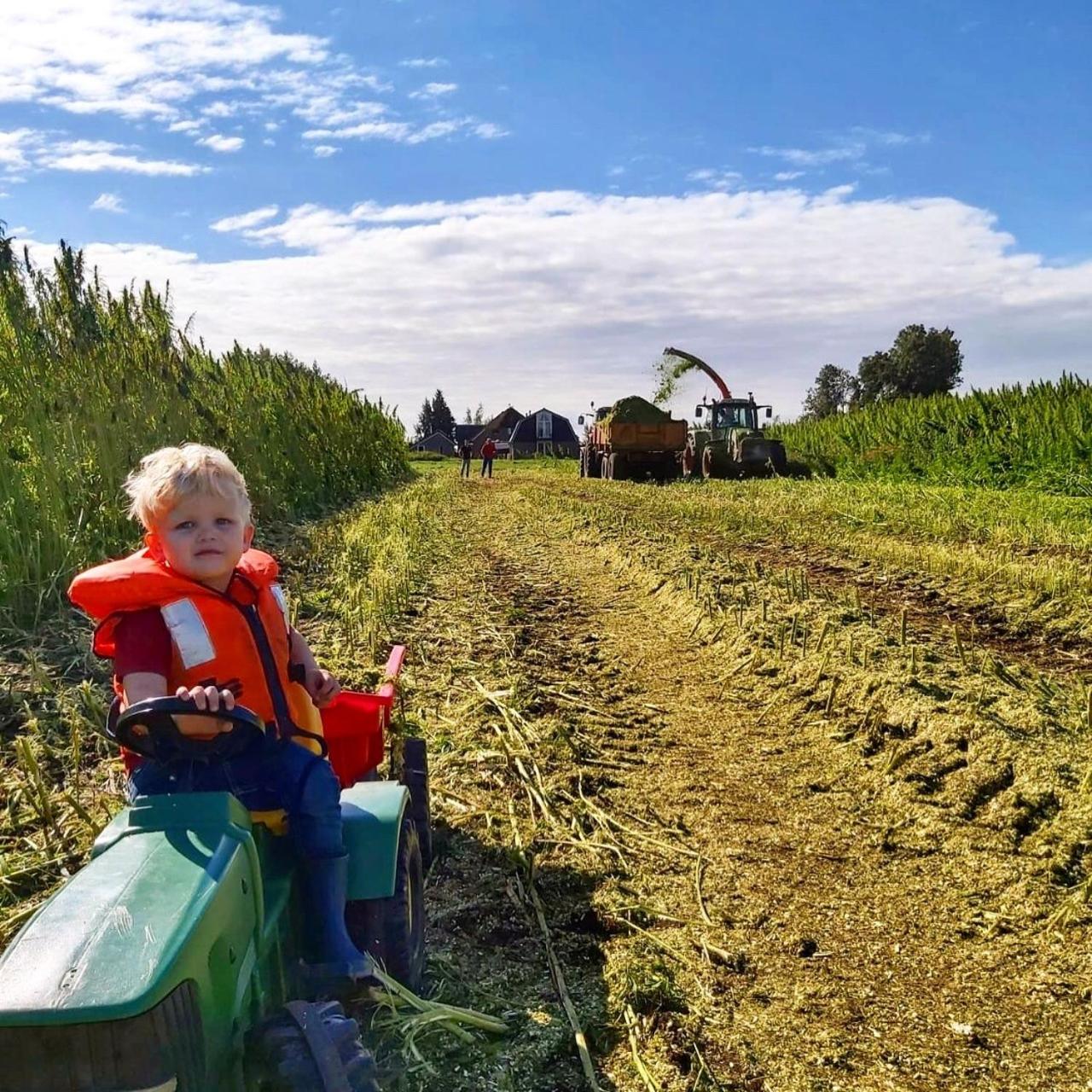 Ruyge Weyde Logies, Eco Farm