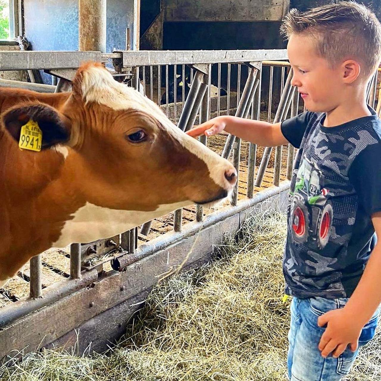 Ruyge Weyde Logies, Eco Farm