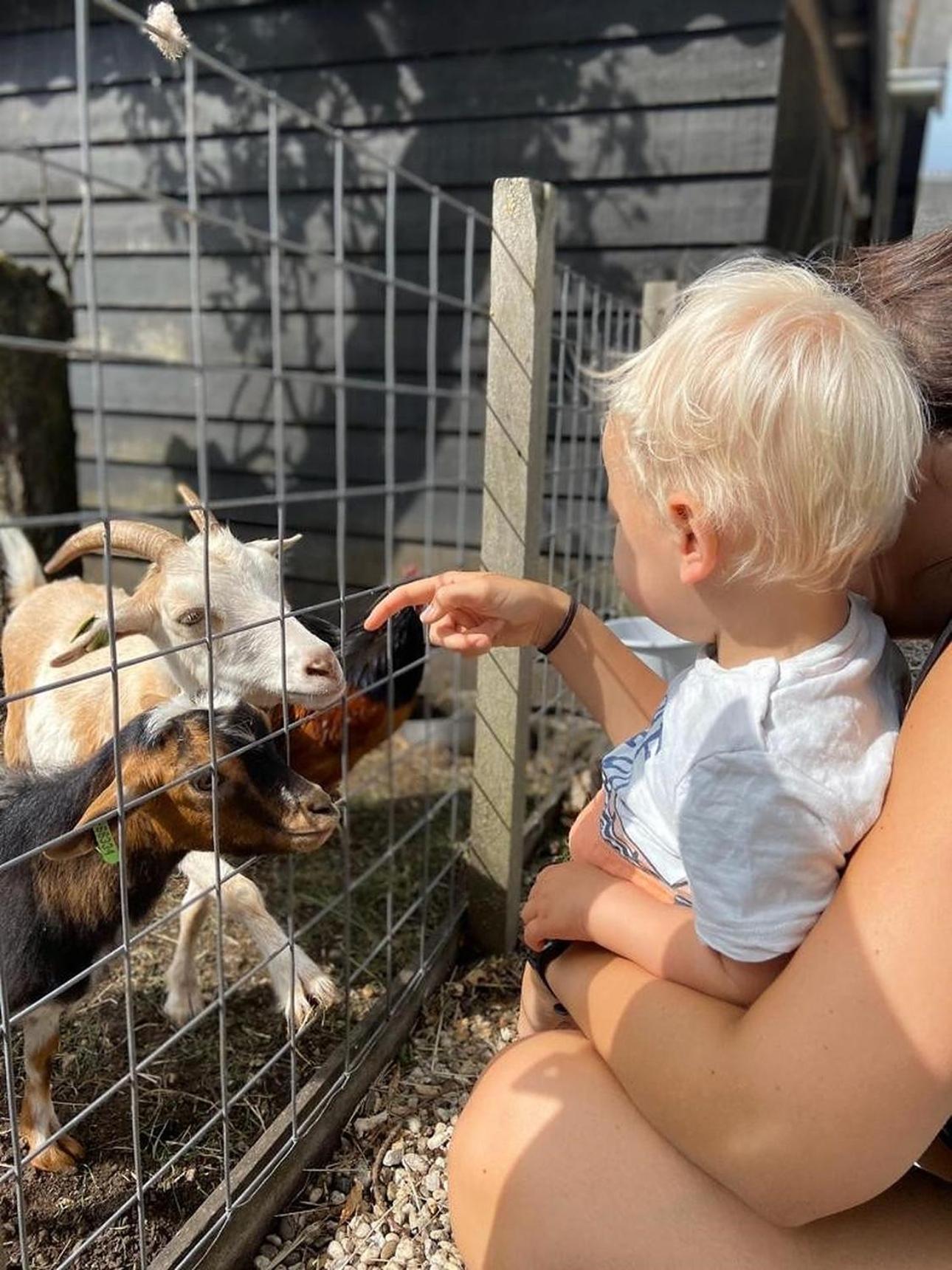 Ruyge Weyde Logies, Eco Farm