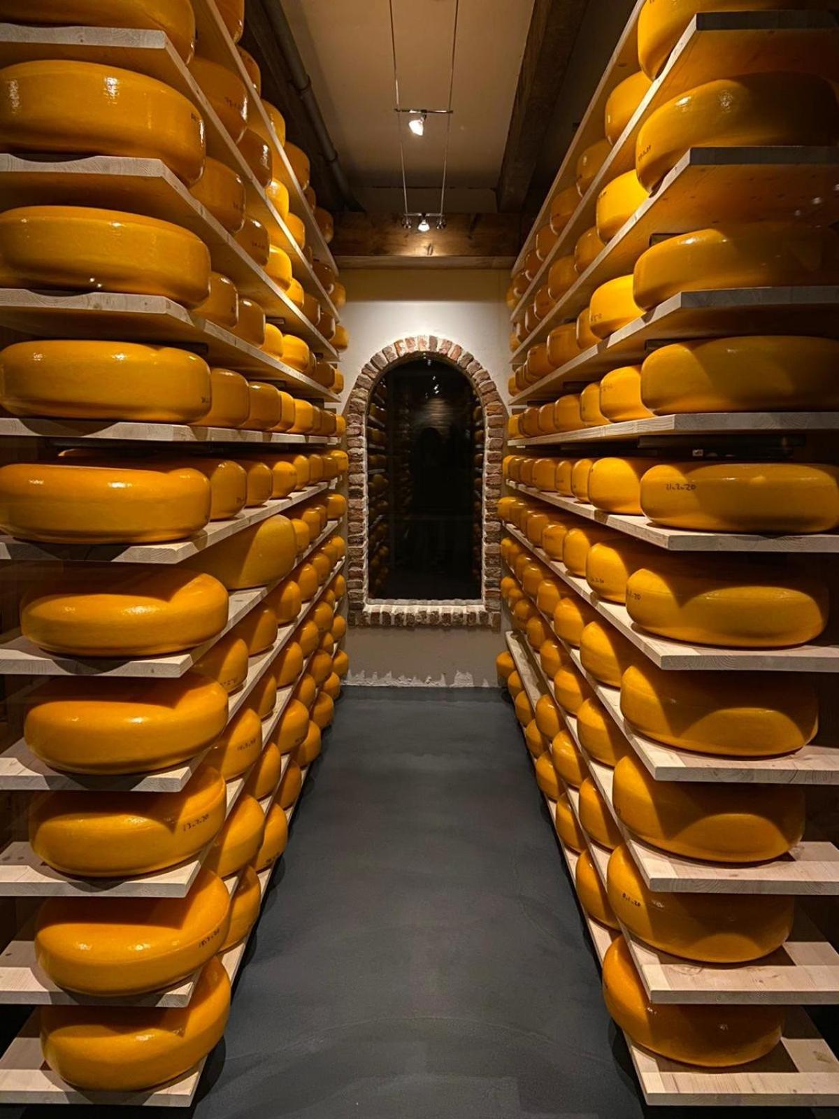 Ruyge Weyde Logies, Eco Farm