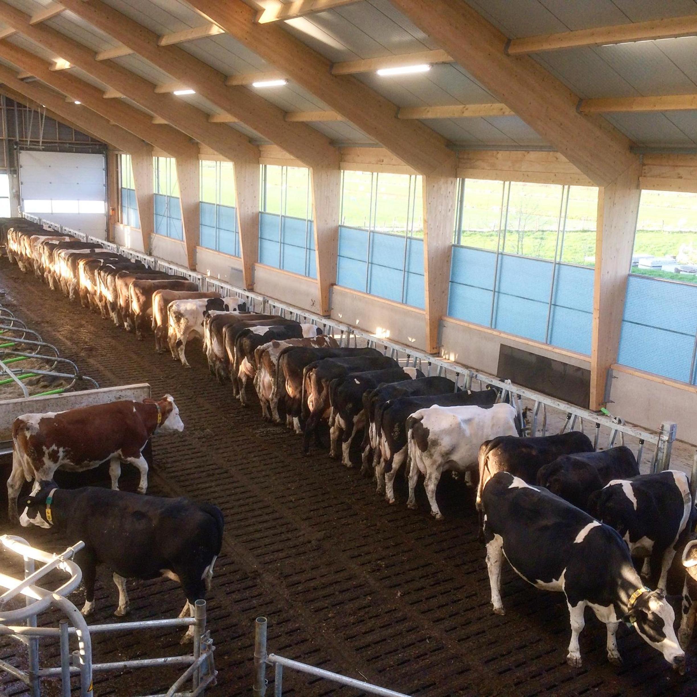Ruyge Weyde Logies, Eco Farm