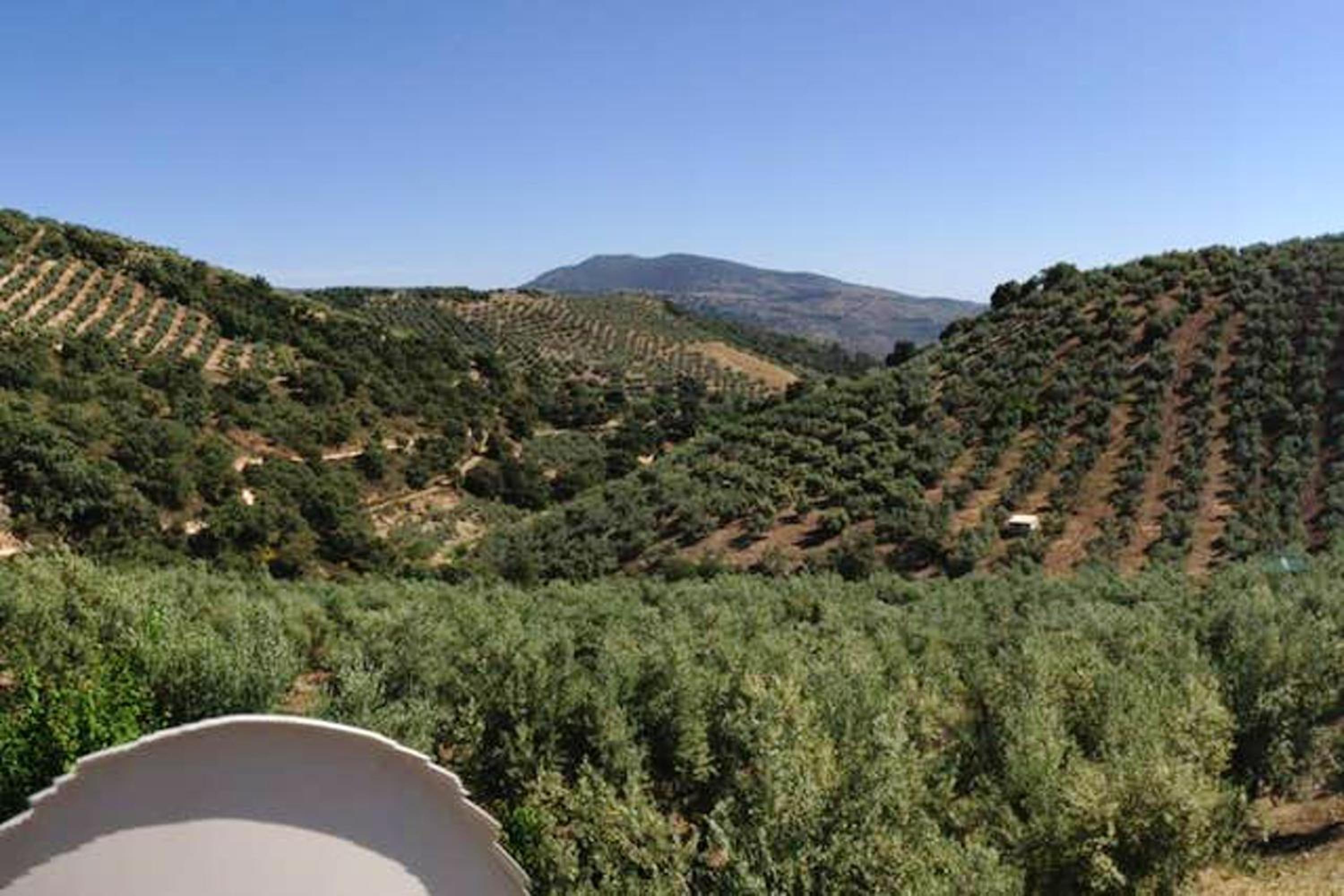 Elegant Villa in Granada with Pool and Garden view 2