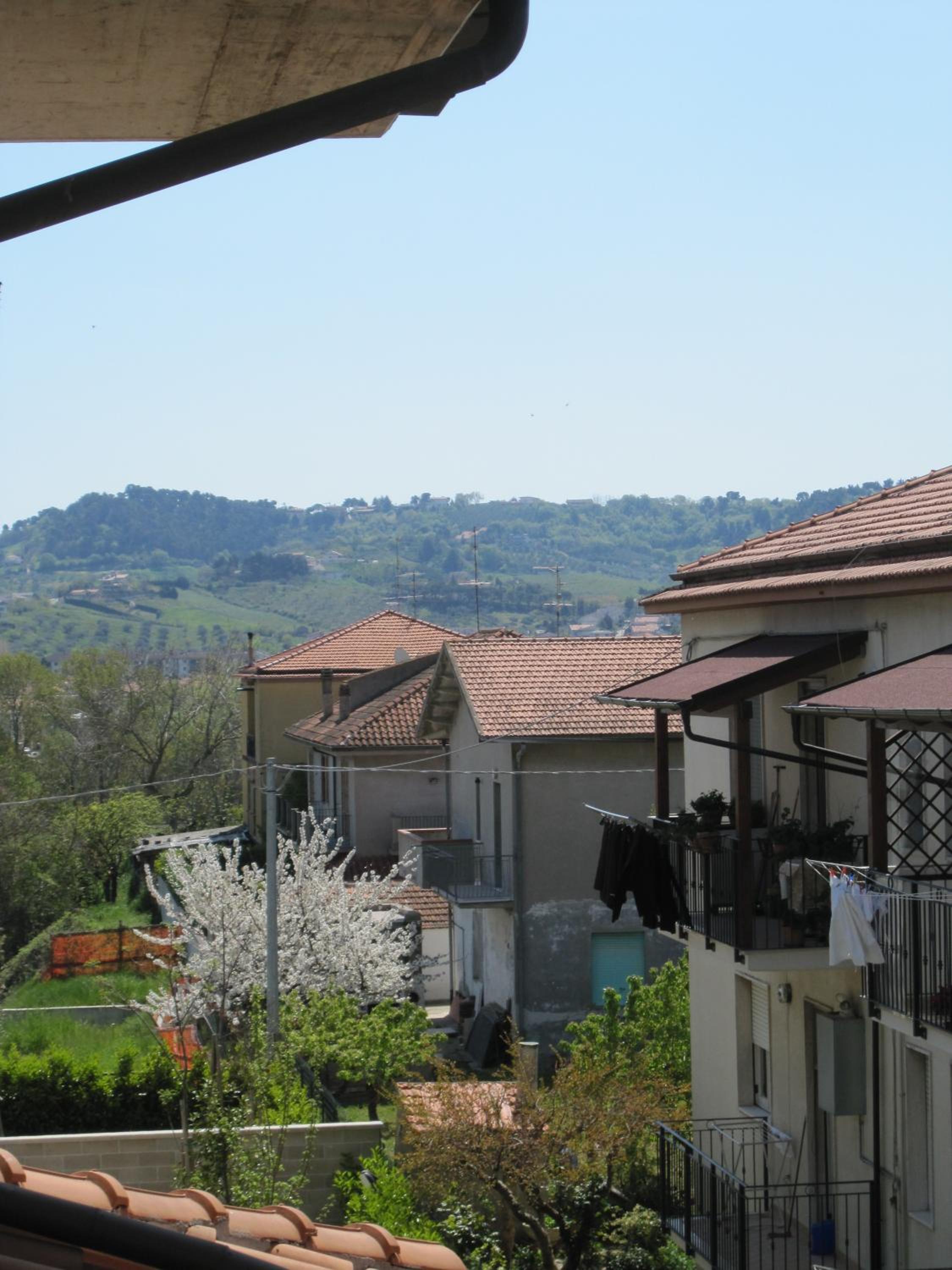 Magnolia B&B, photo 10