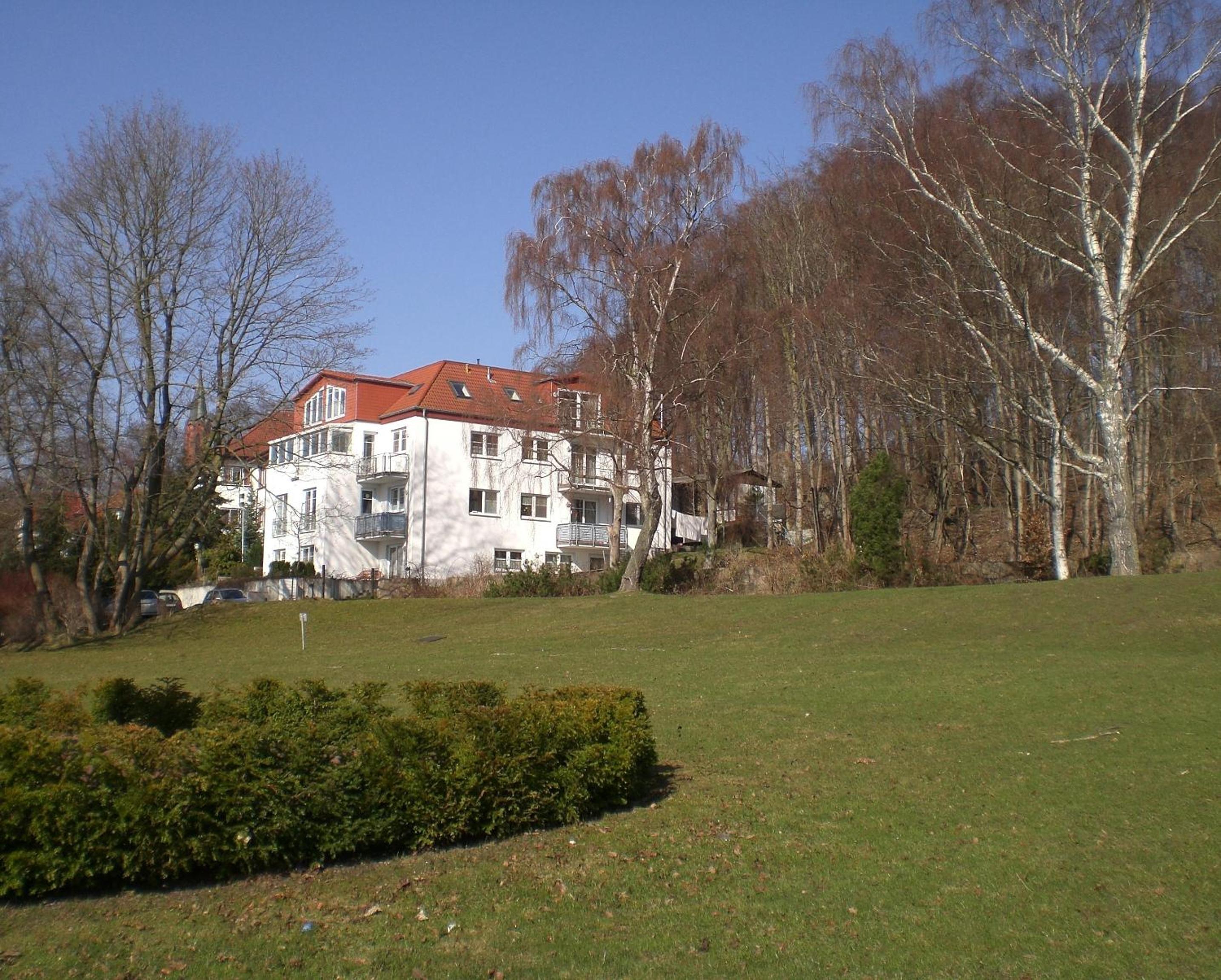 Photo 51