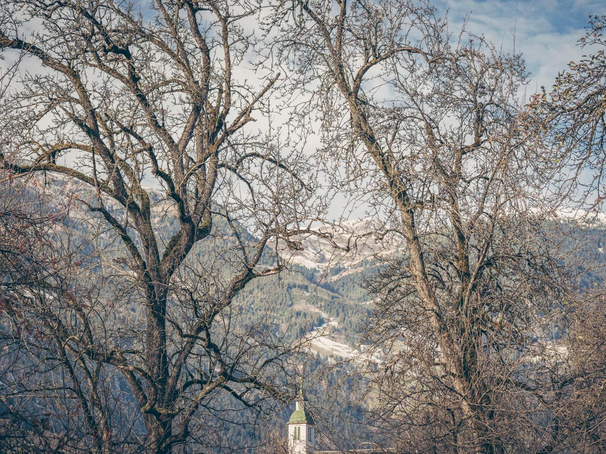 Leitnerhof