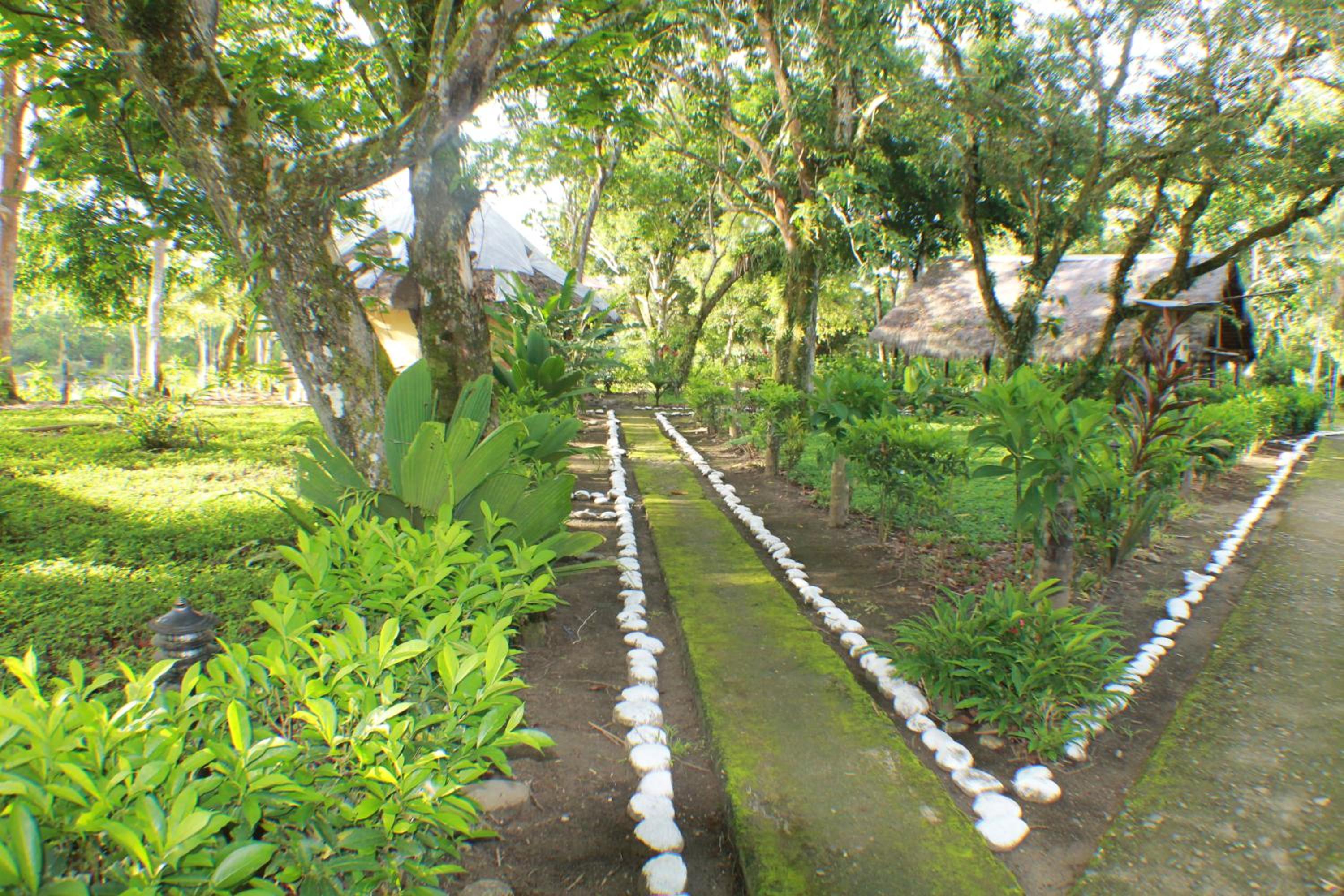 Mariana Miller Lodge