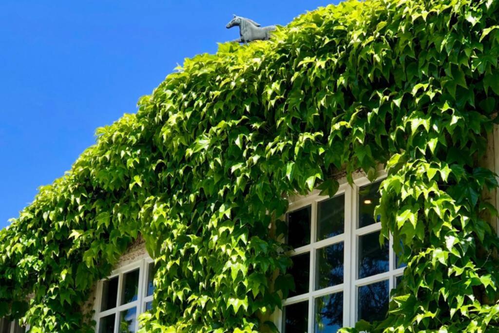 APARTMENT Gästehaus Schloss Bothmer