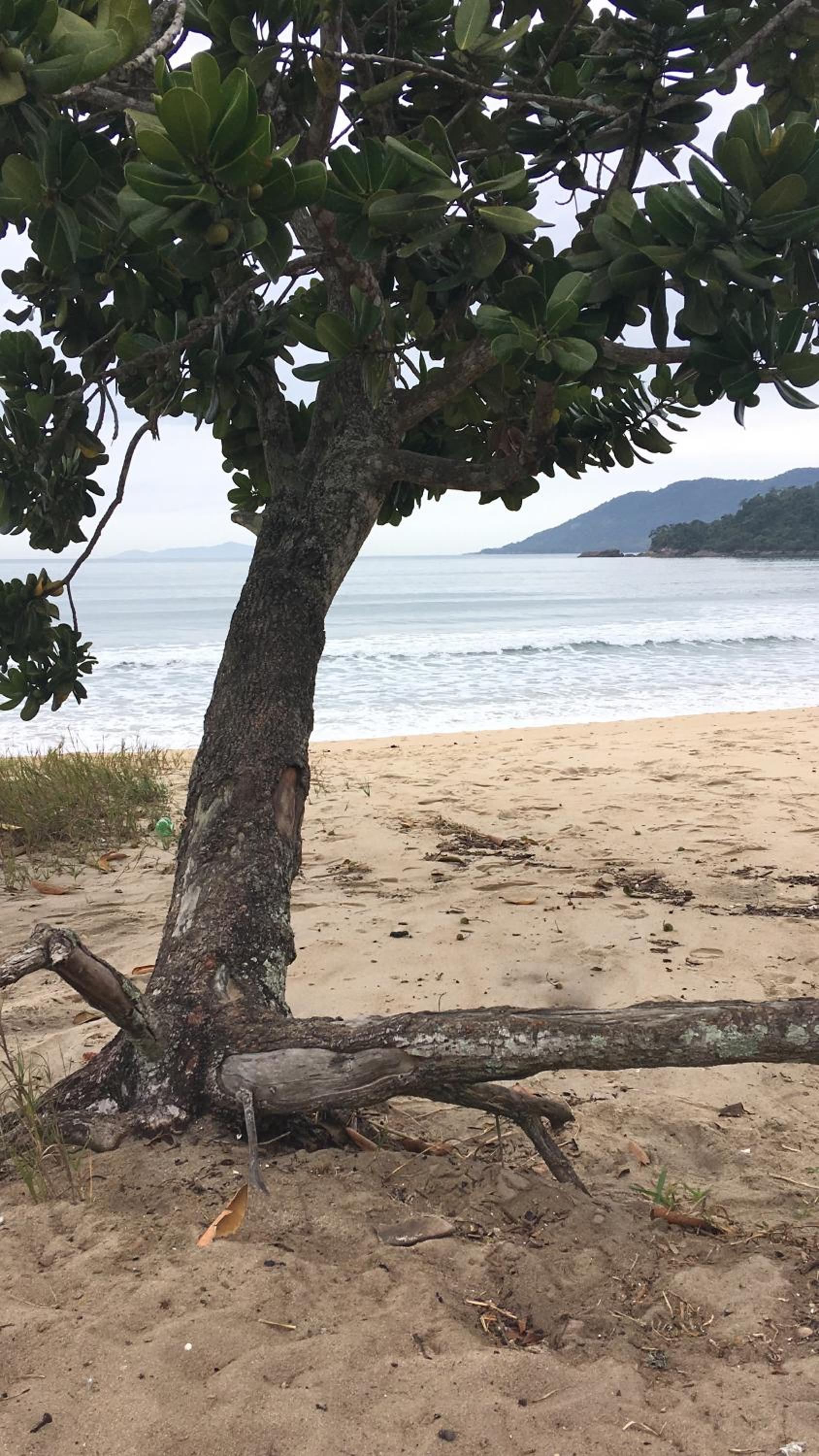 Recanto Maciel casa rústica em meio da natureza próximo a praia trilhas cachoeira