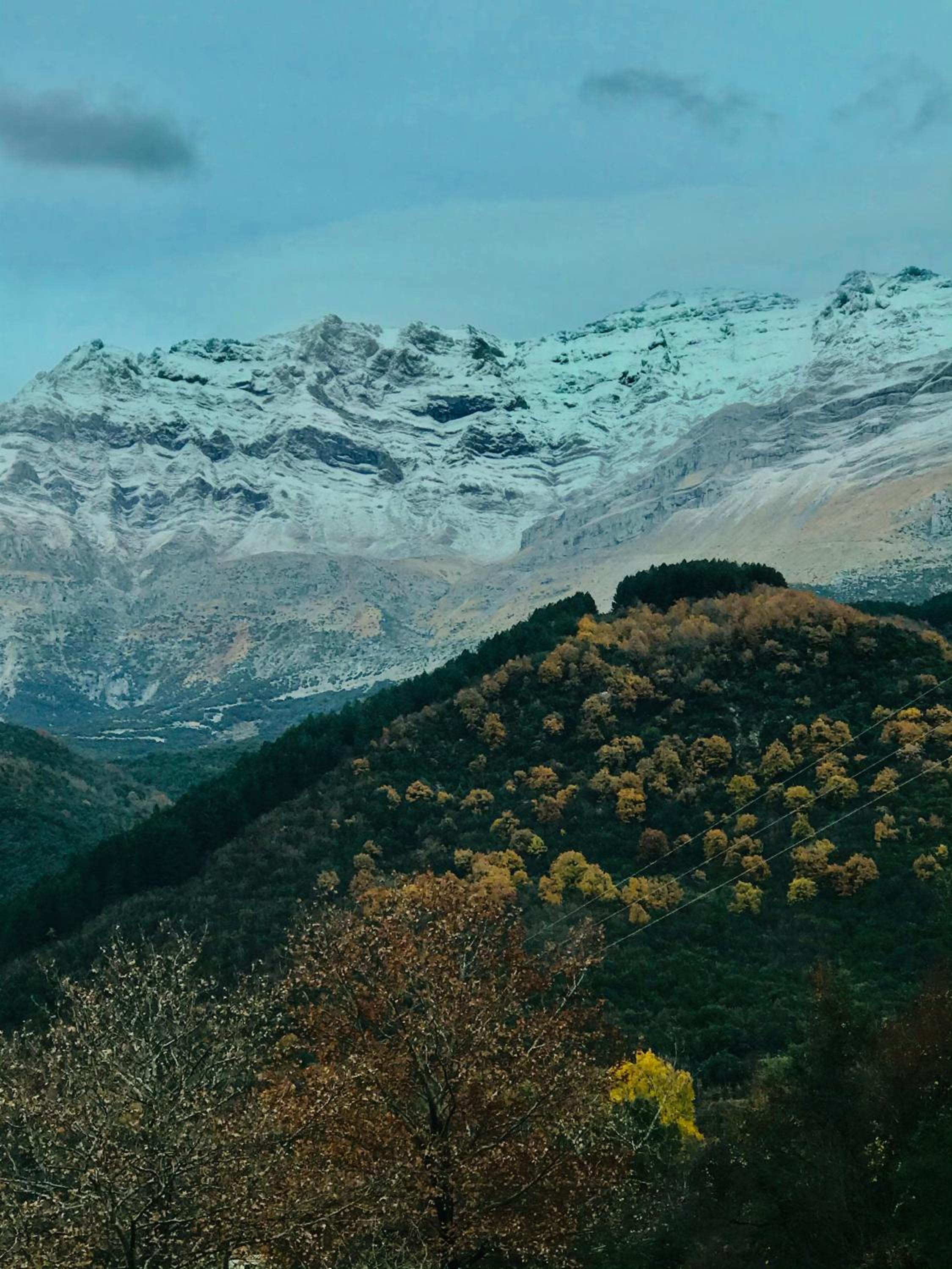 Theasis-Igloo