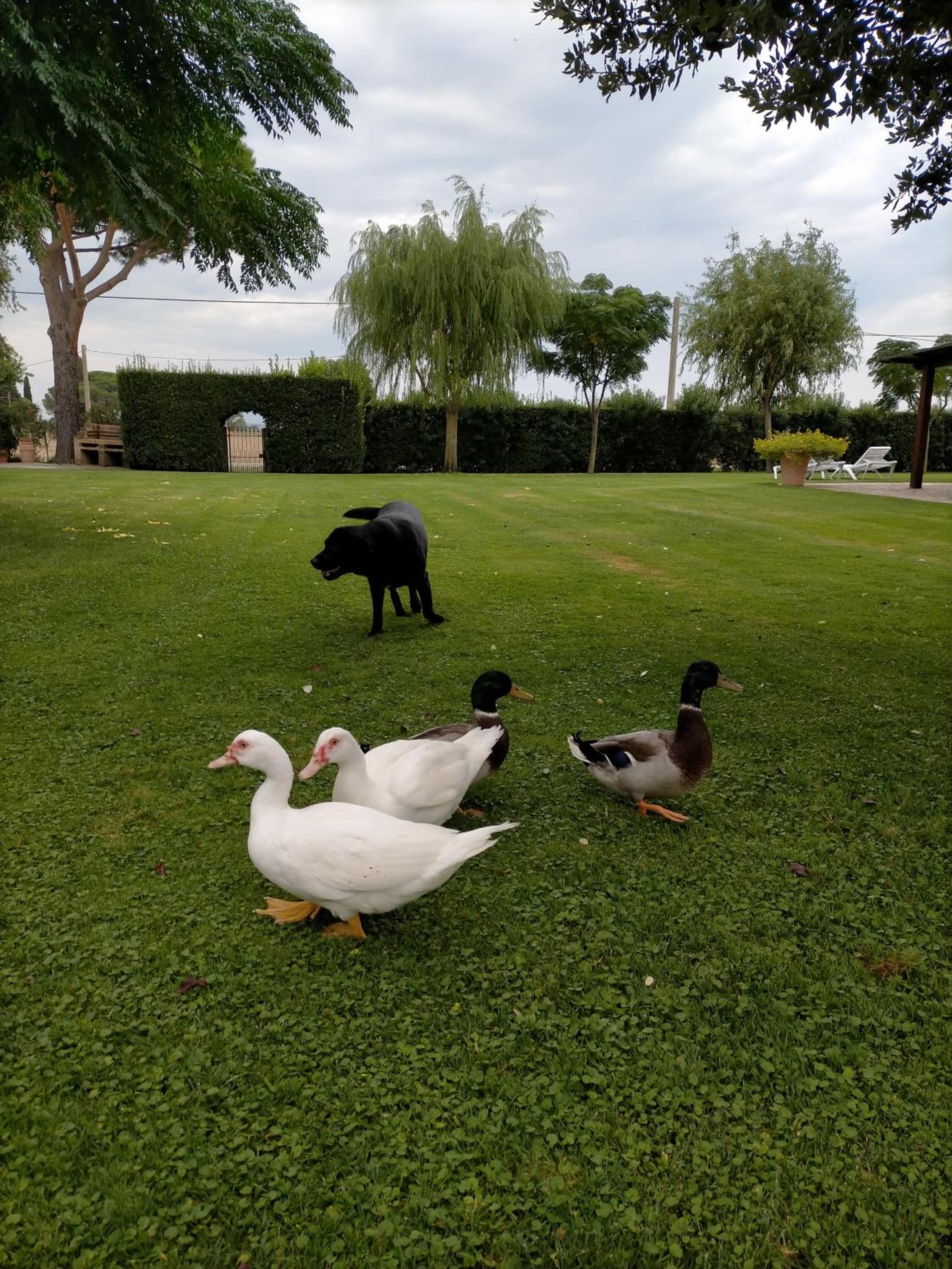 Agriturismo Bocci