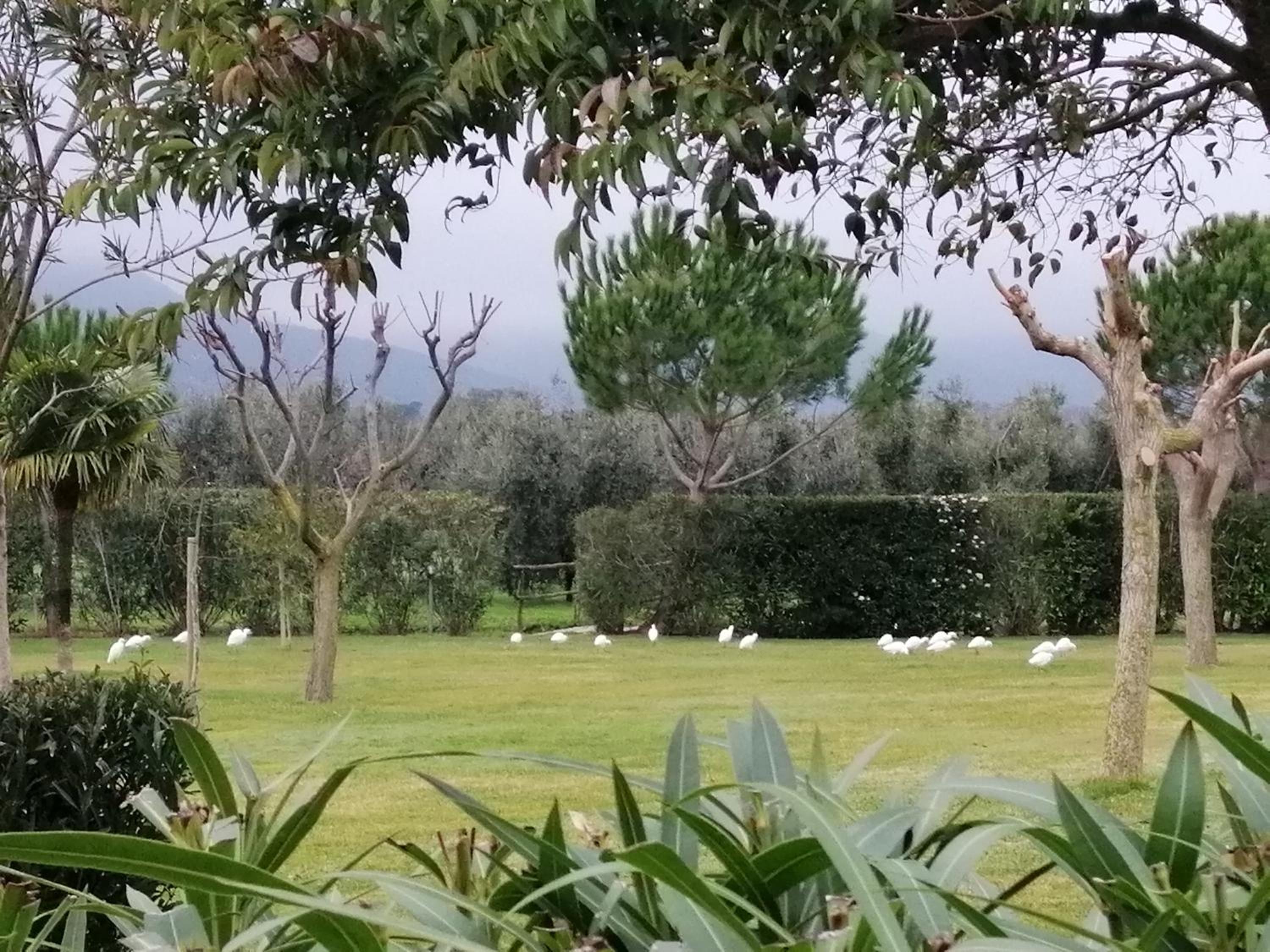 Agriturismo Bocci
