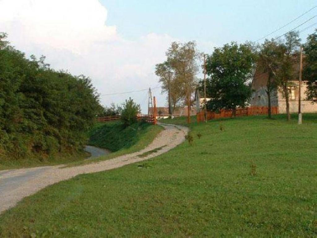 Photo 35