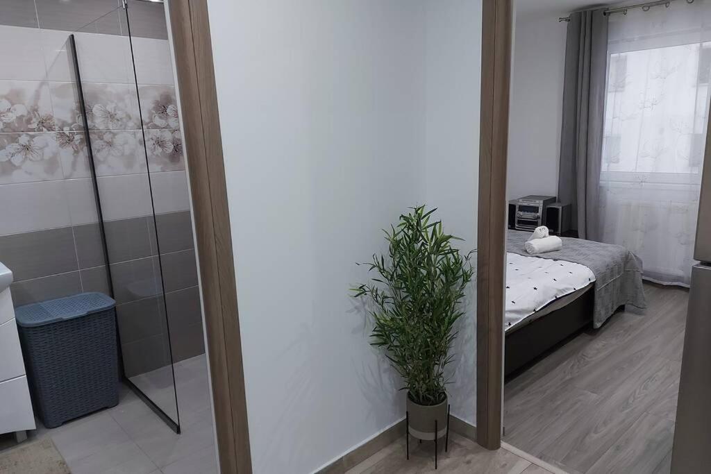 Hidden Apartment