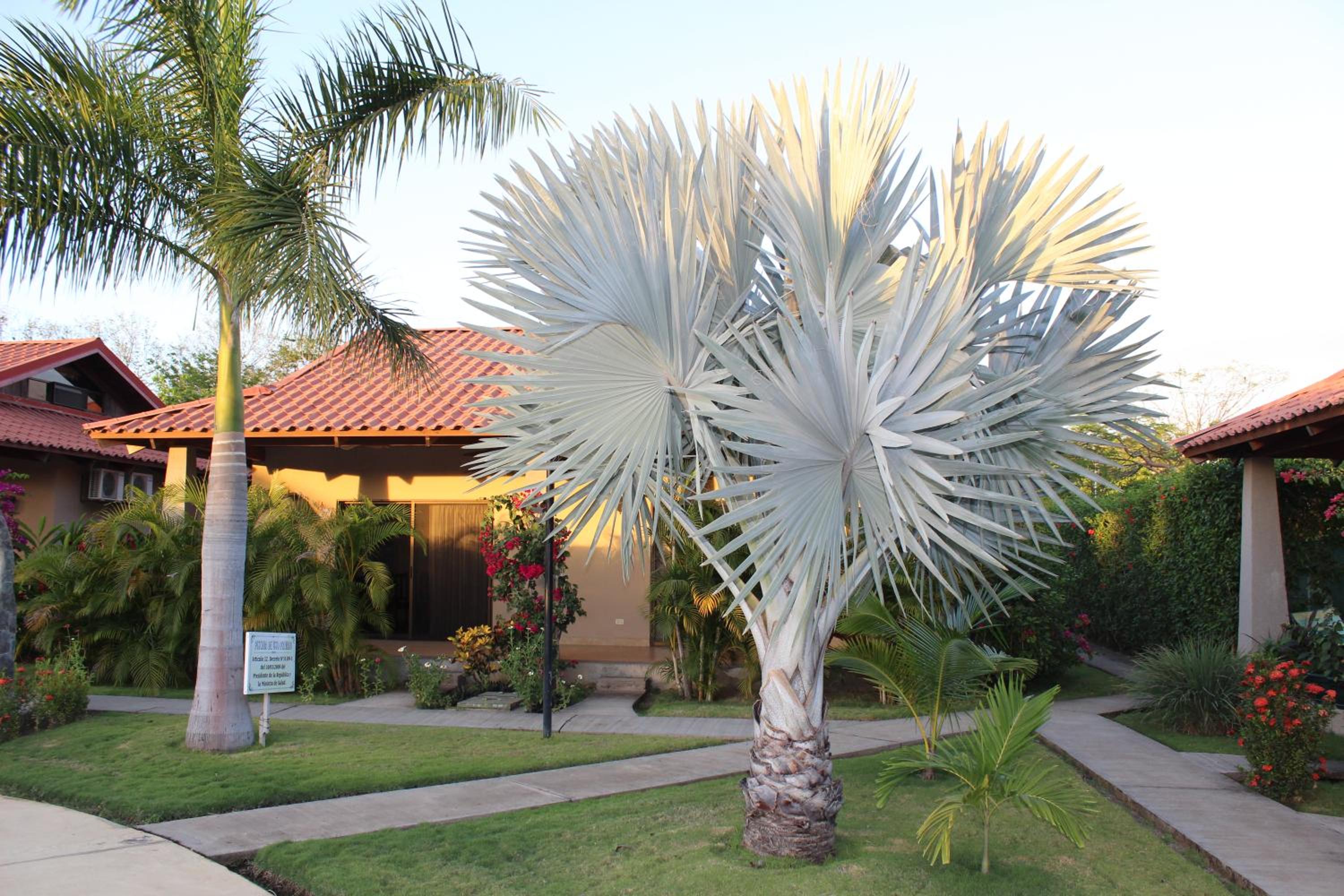 Amazing Beach Condo Costa Rica