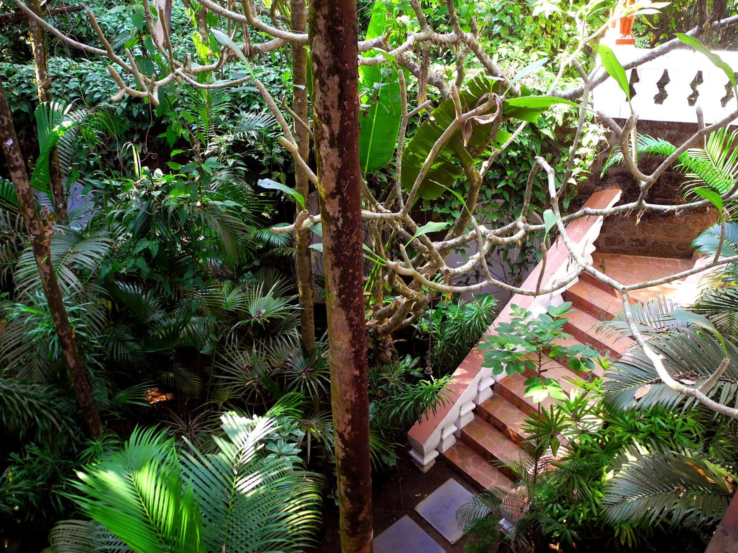 Marbella Guest House, photo 12