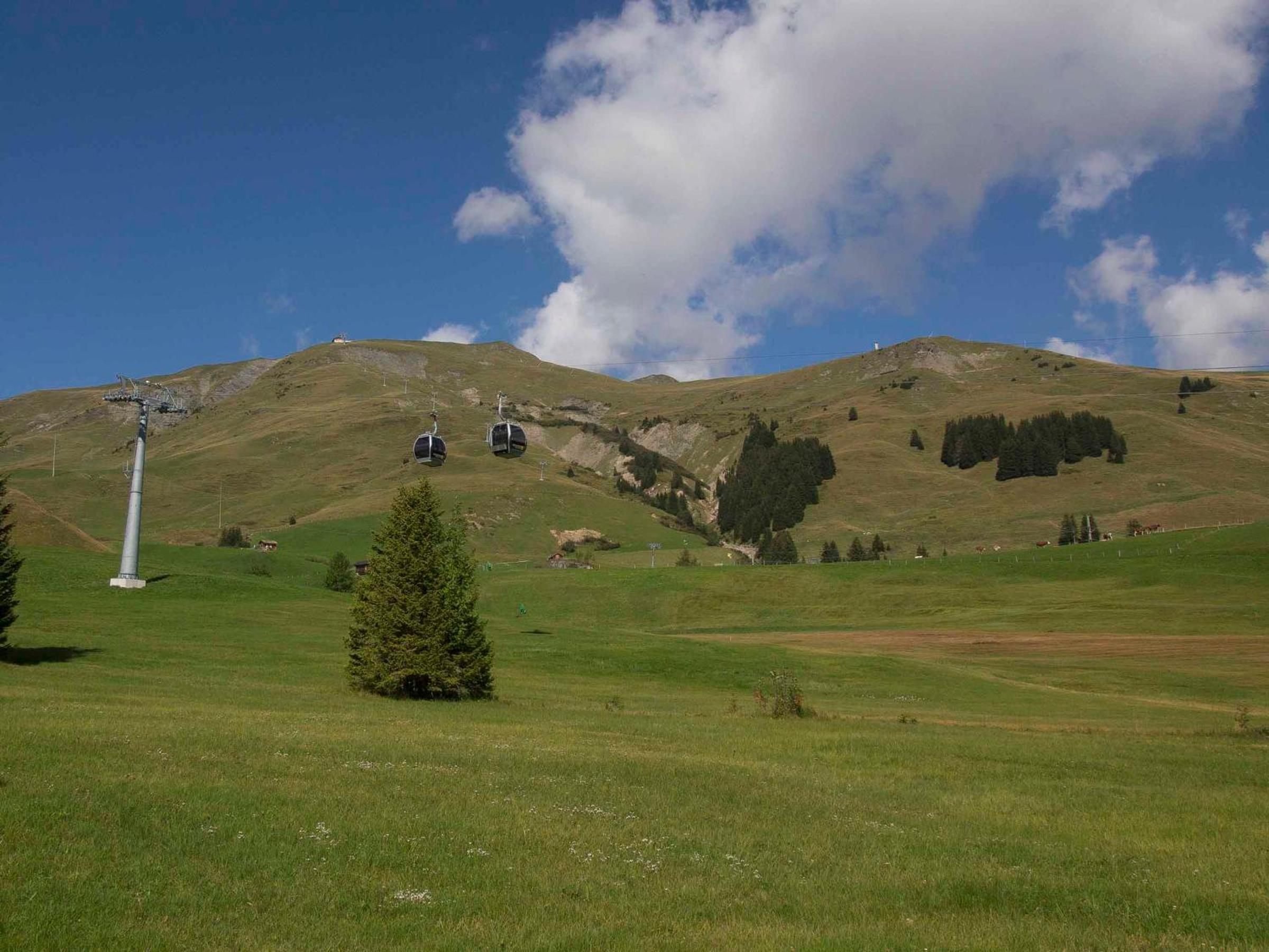 Chalet Sturmfang