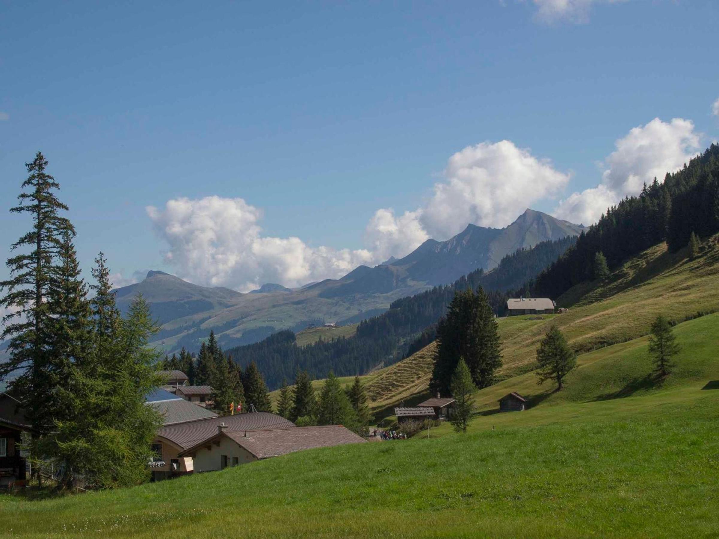 Chalet Sturmfang