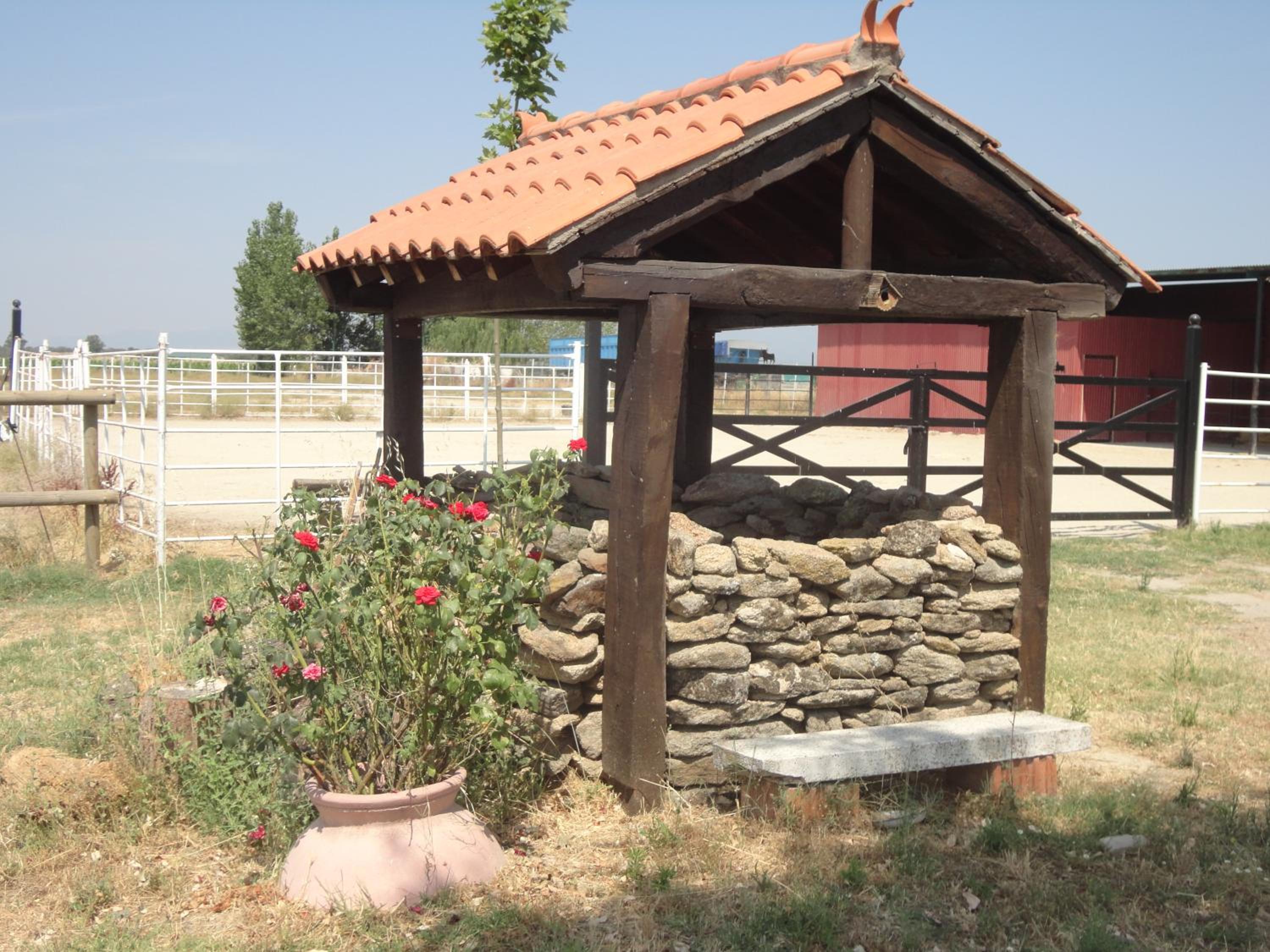 Photo 45