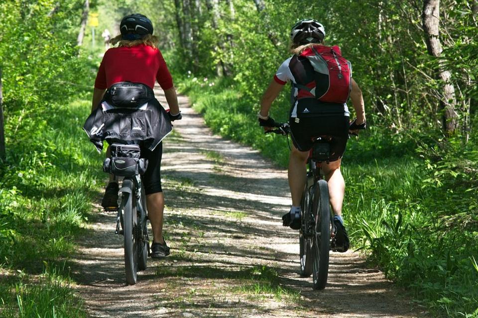 Pfotchenurlaub im Harz- Schone Ferienwohnung fur 2-4 Personen und Hund - Property Image 11